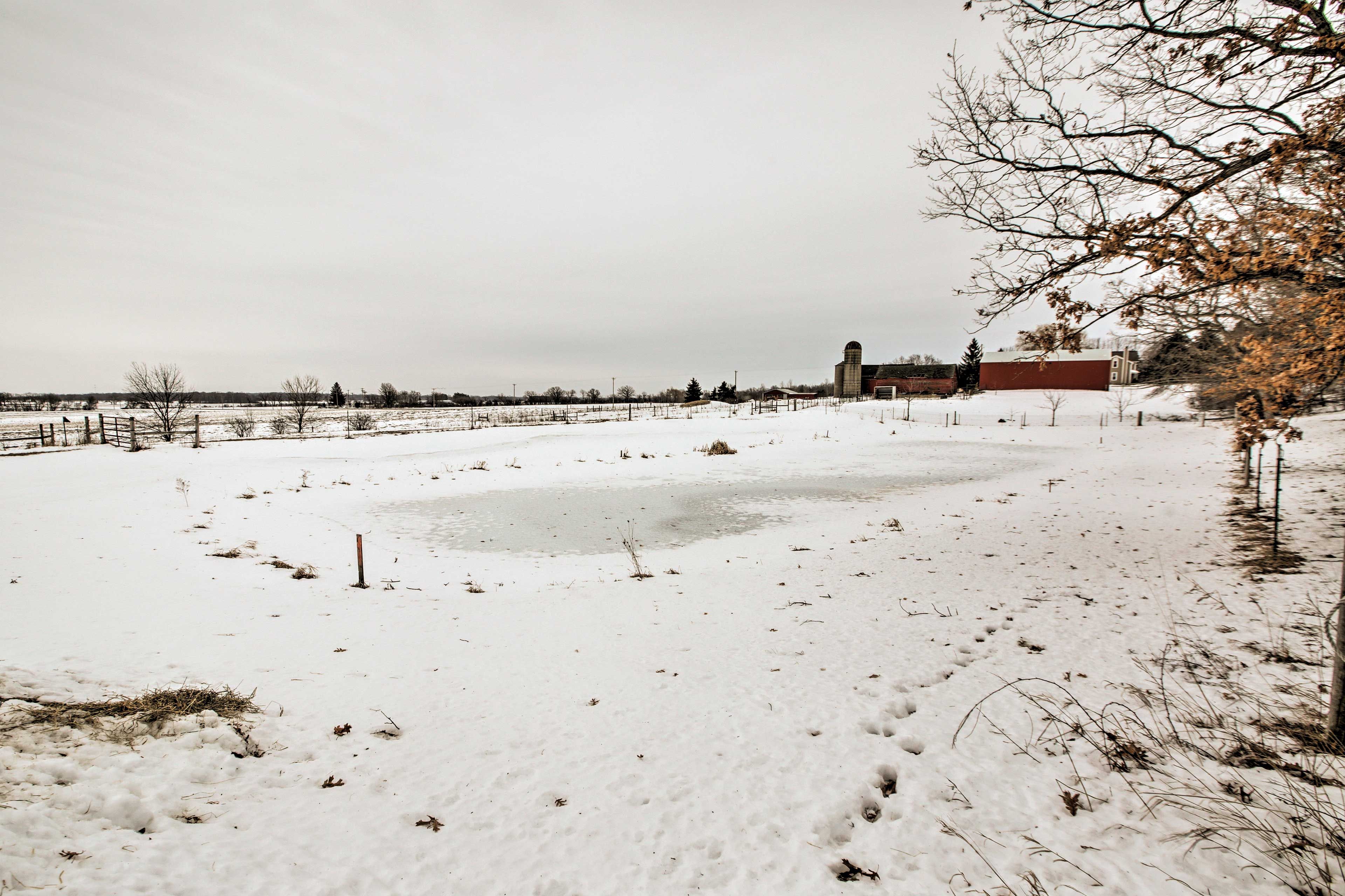 7-Acre Property