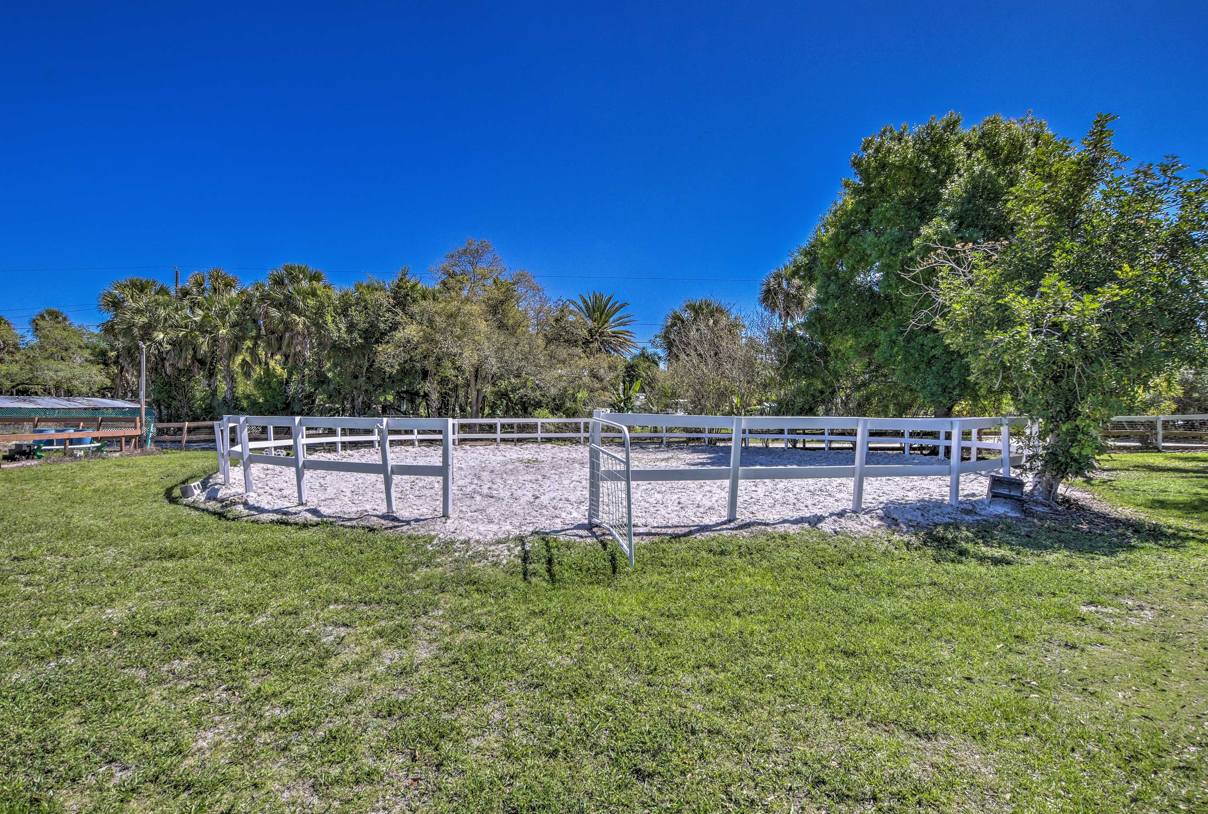 Soak up the sunshine while riding your pony.