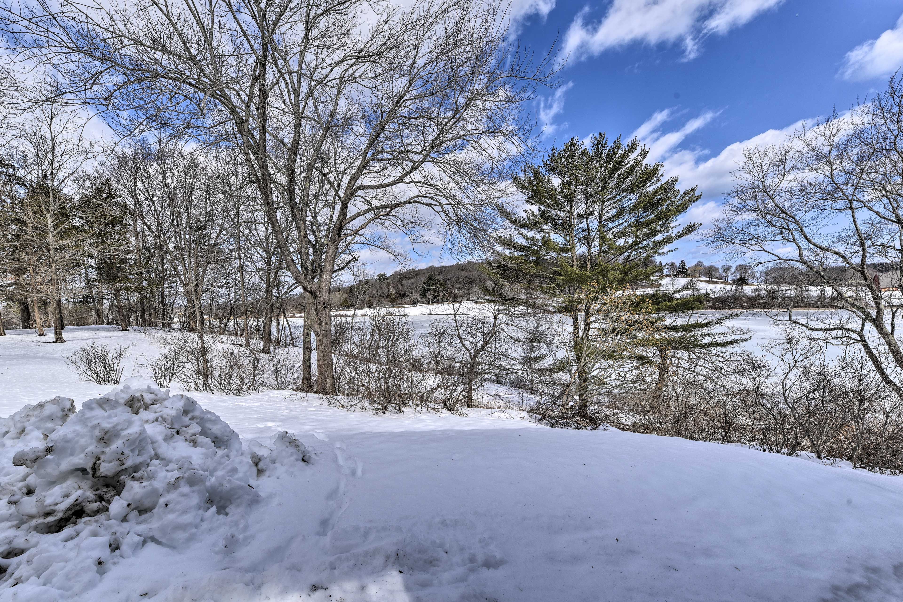 Pond On-Site