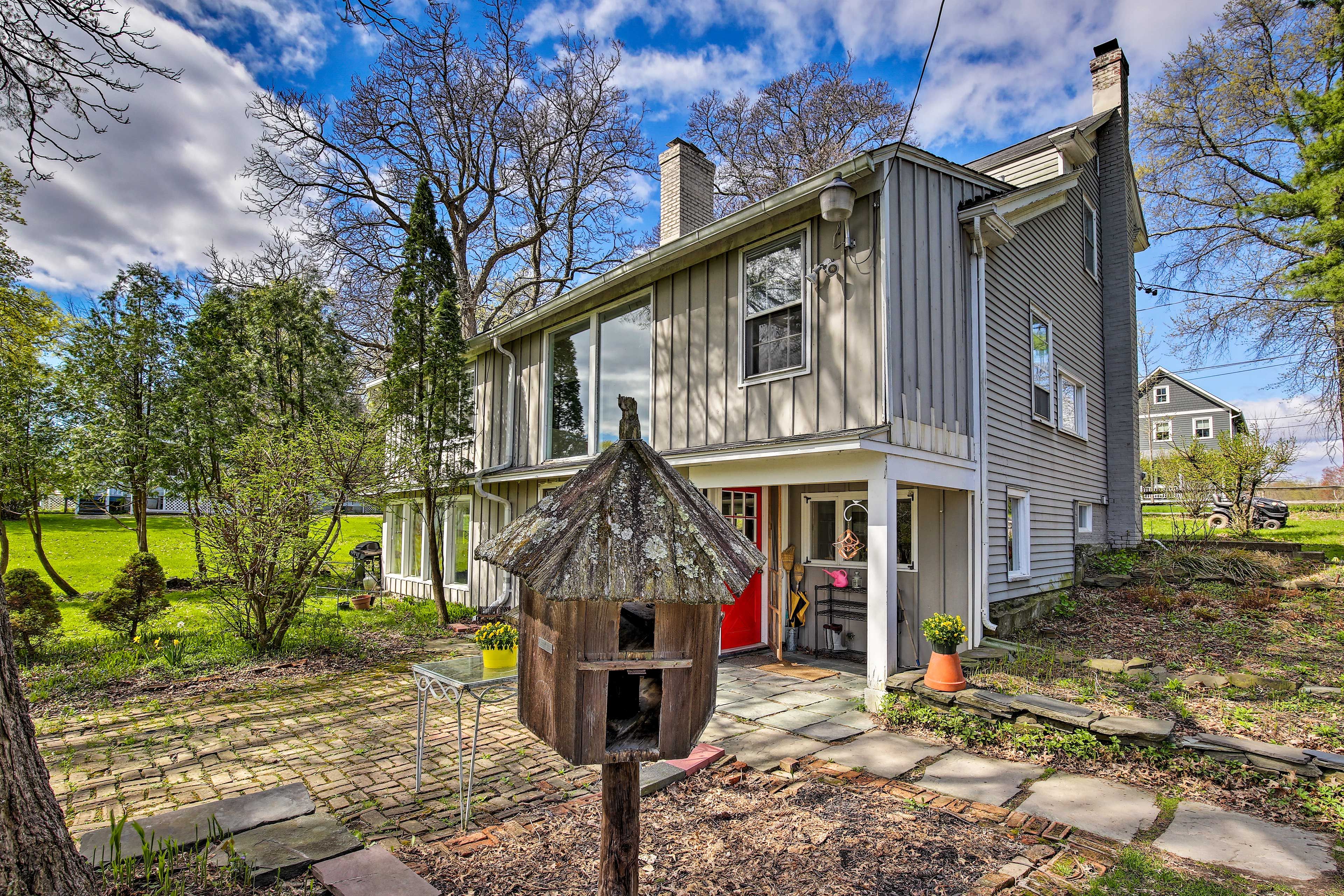 Watch birds fly in and out of the birdhouse.