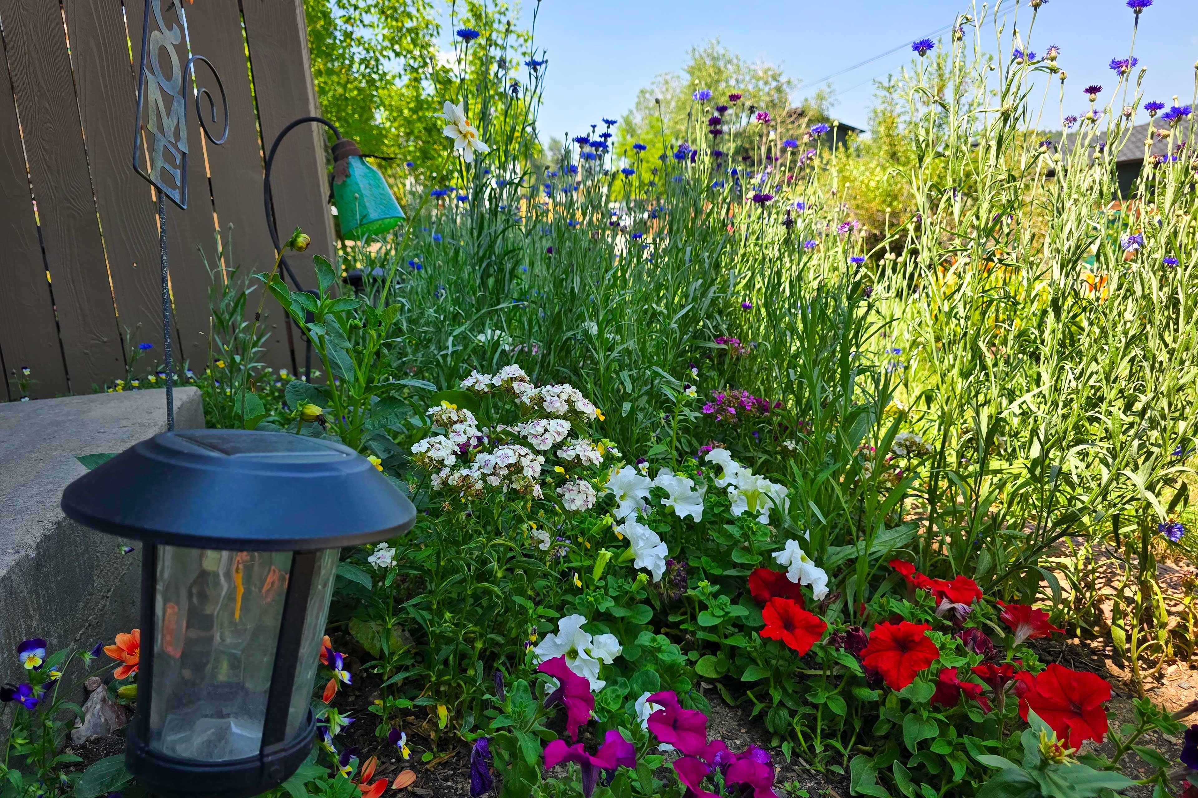 Yard | Garden