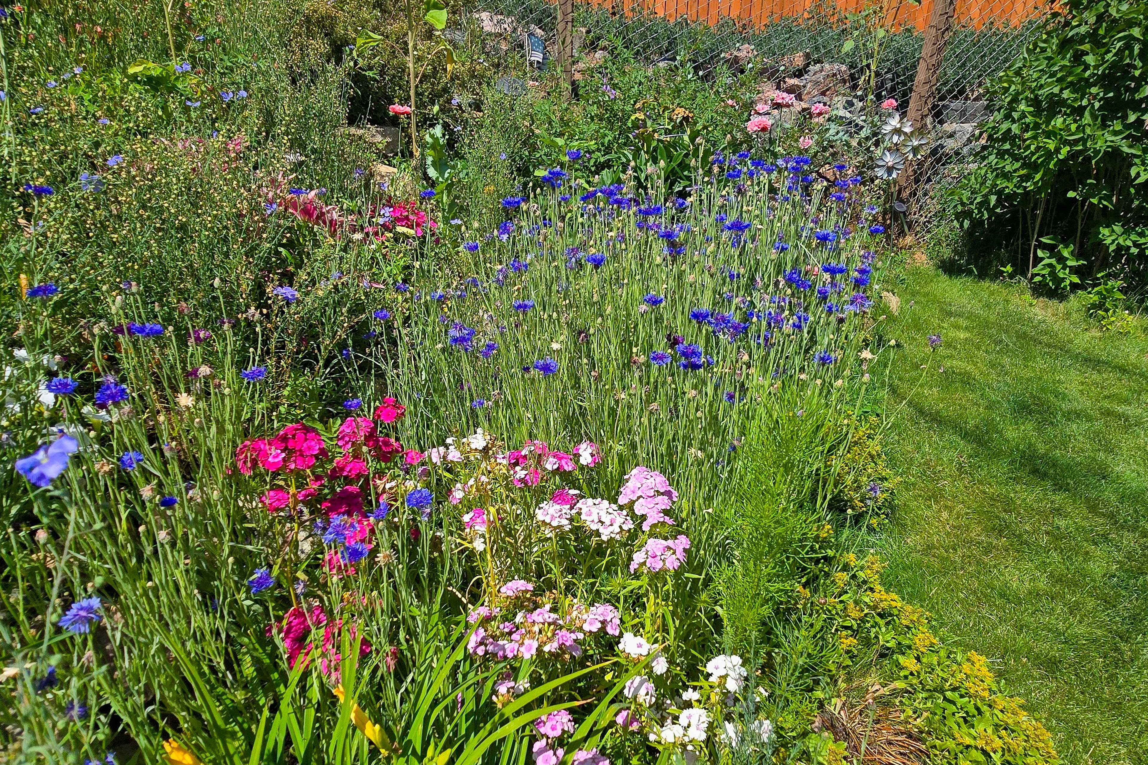 Image 22