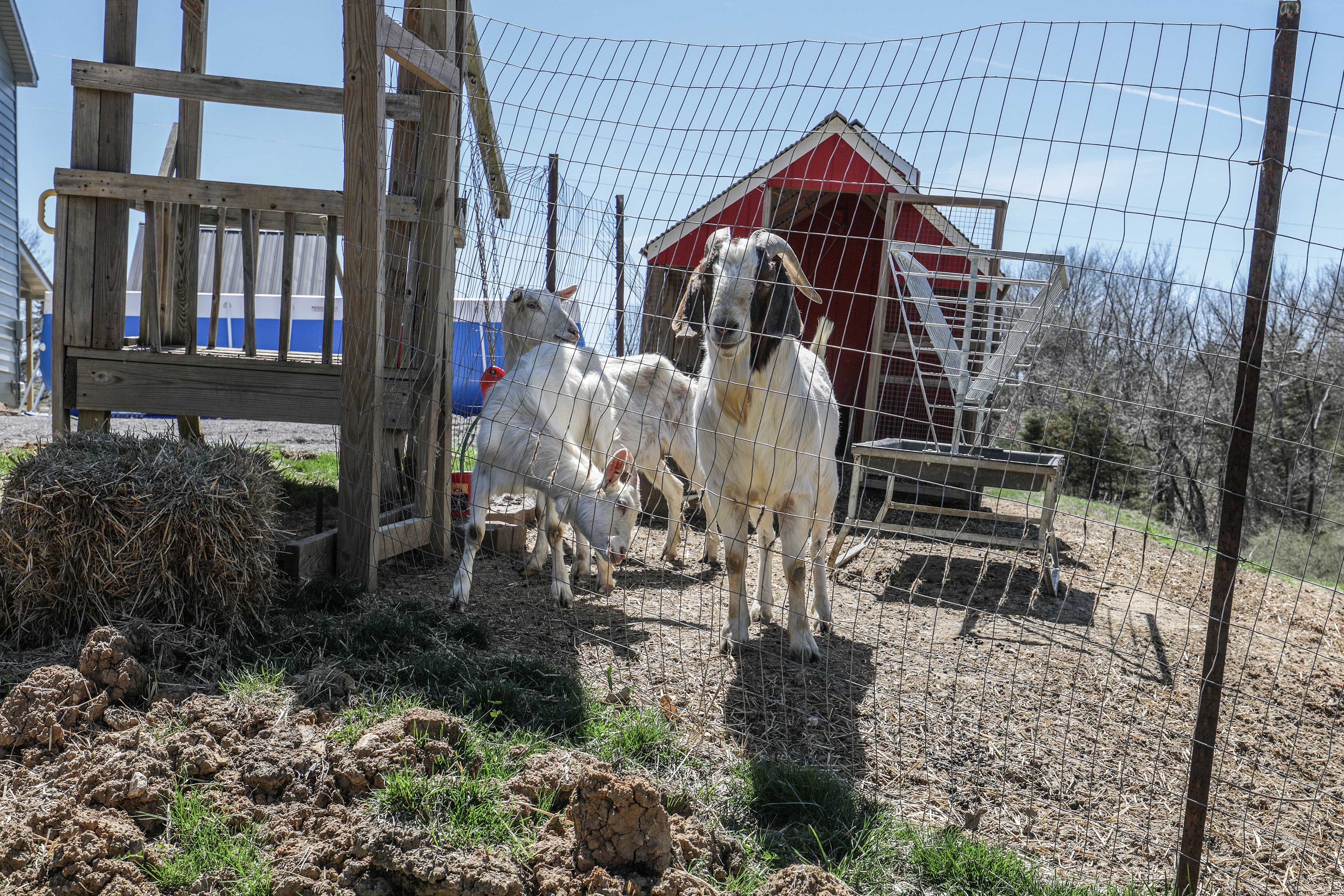 Located on a Working Farm