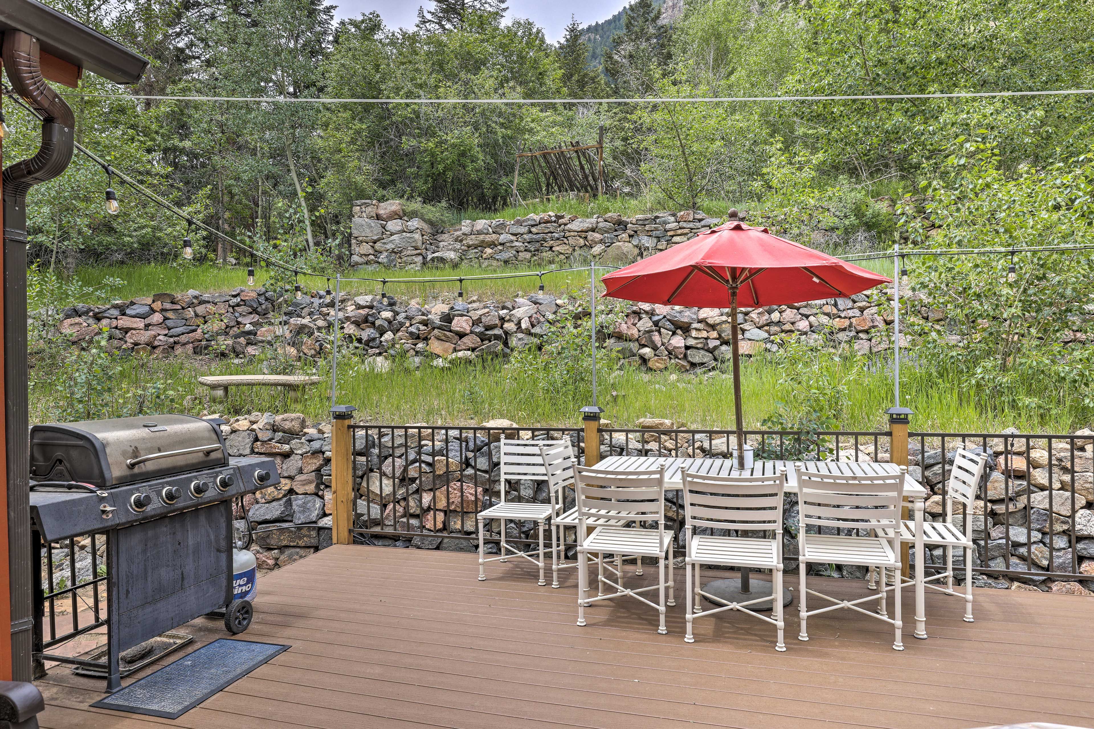 Back Patio | Gas Grill