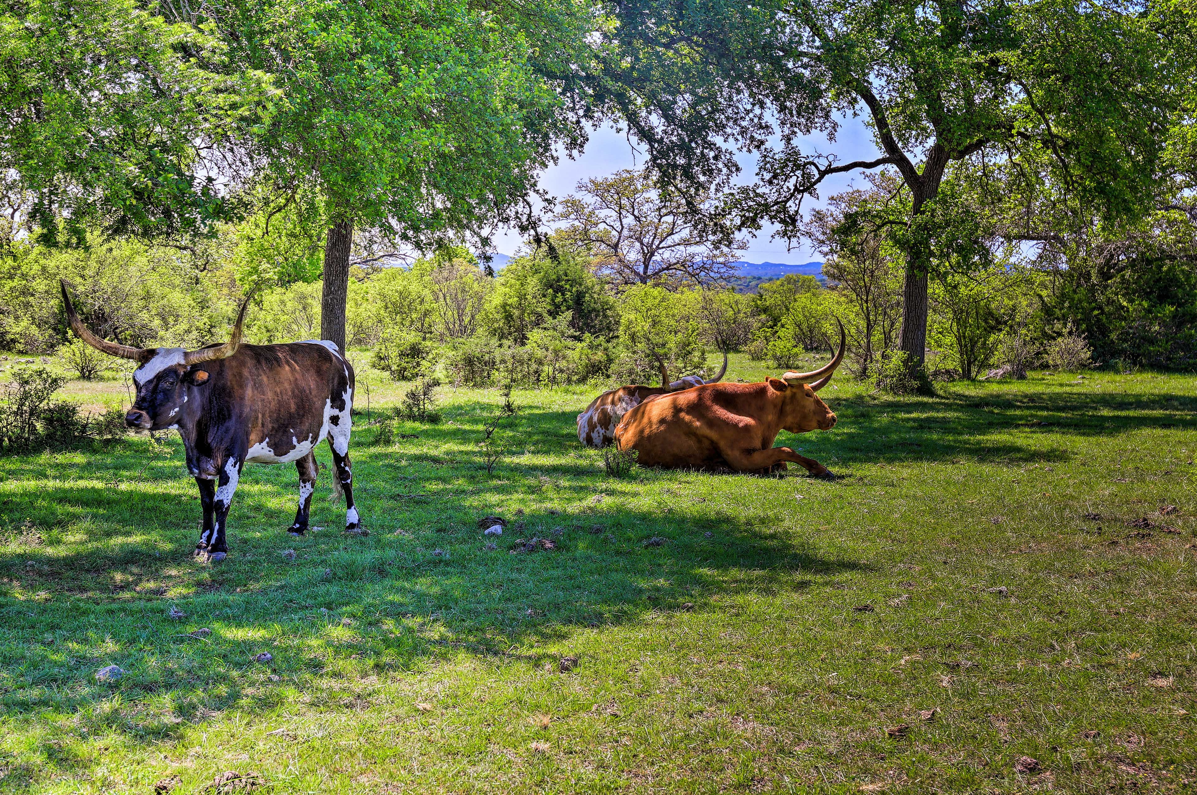 100-Acre Property