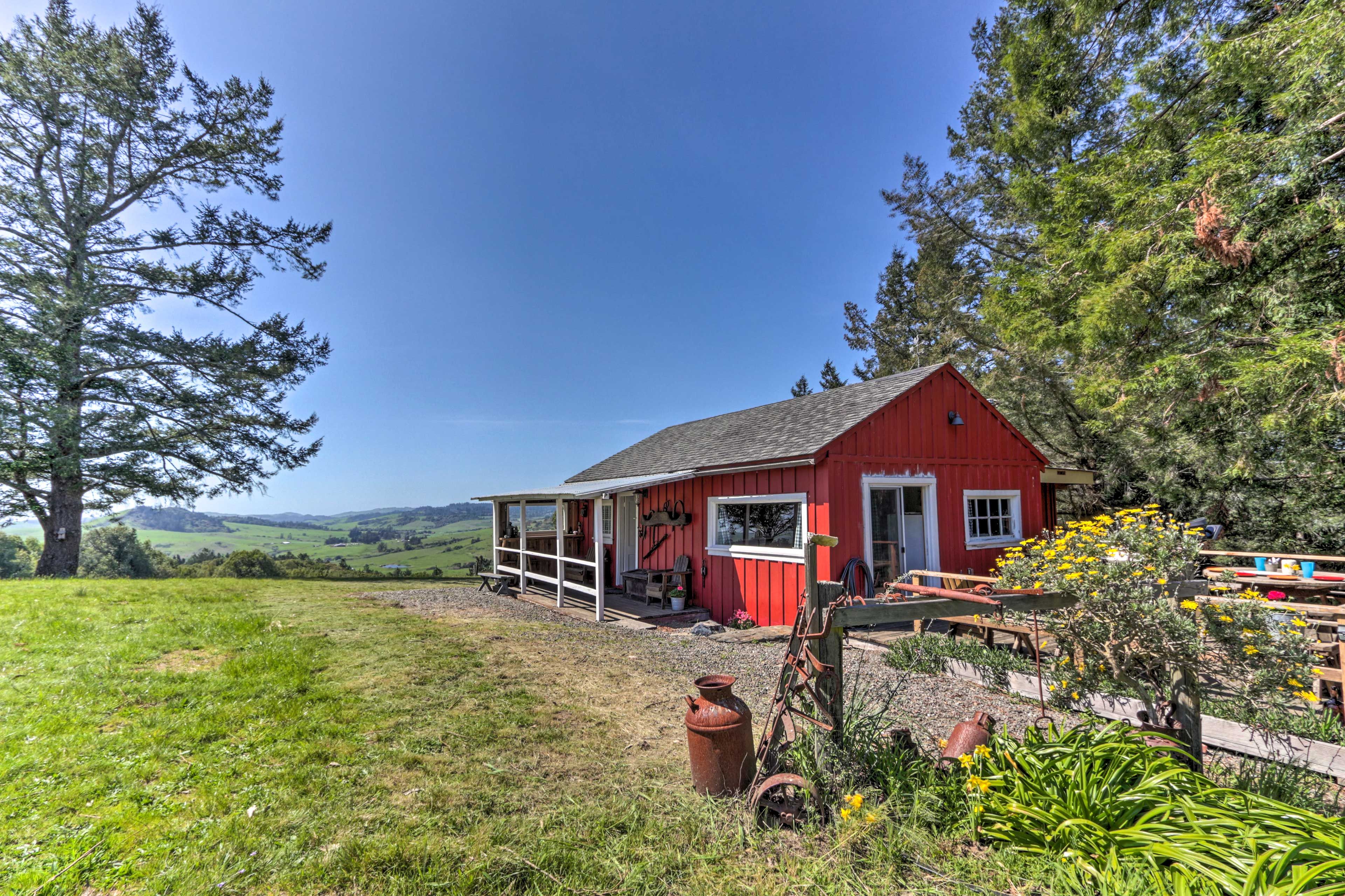 Sebastopol Vacation Rental | 1BR | 1BA | 800 Sq Ft | Steps Required