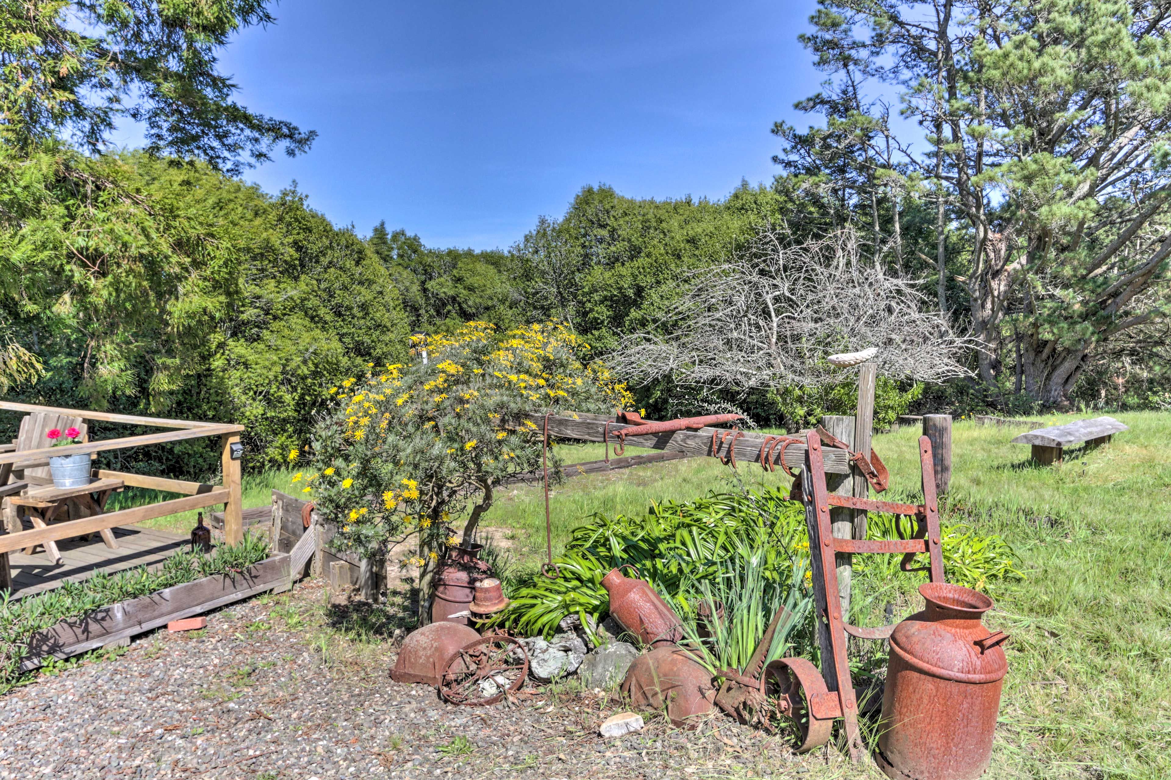 Garden