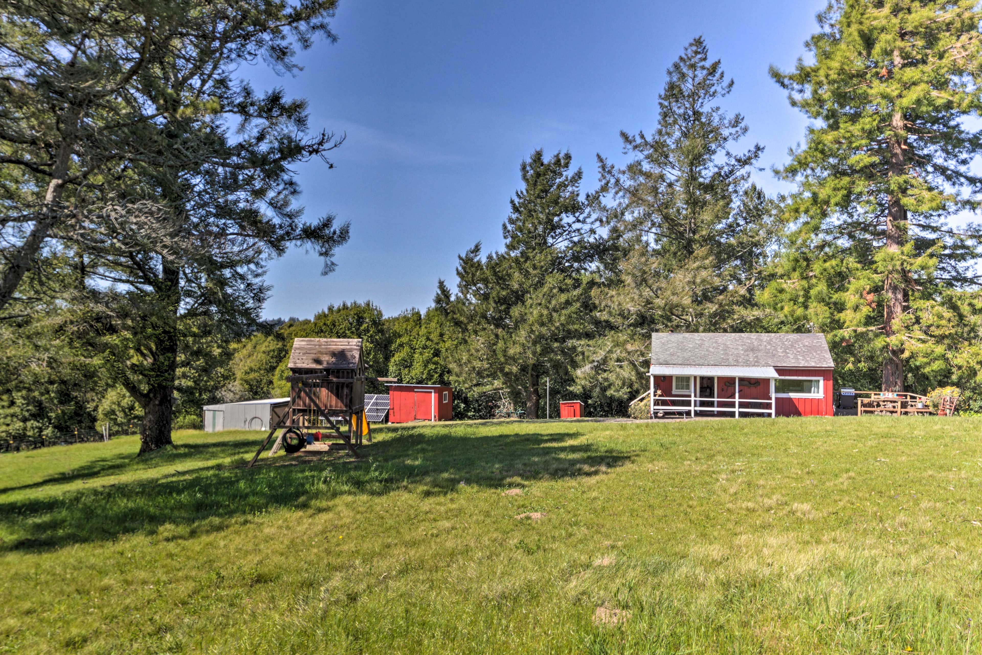 Image 30