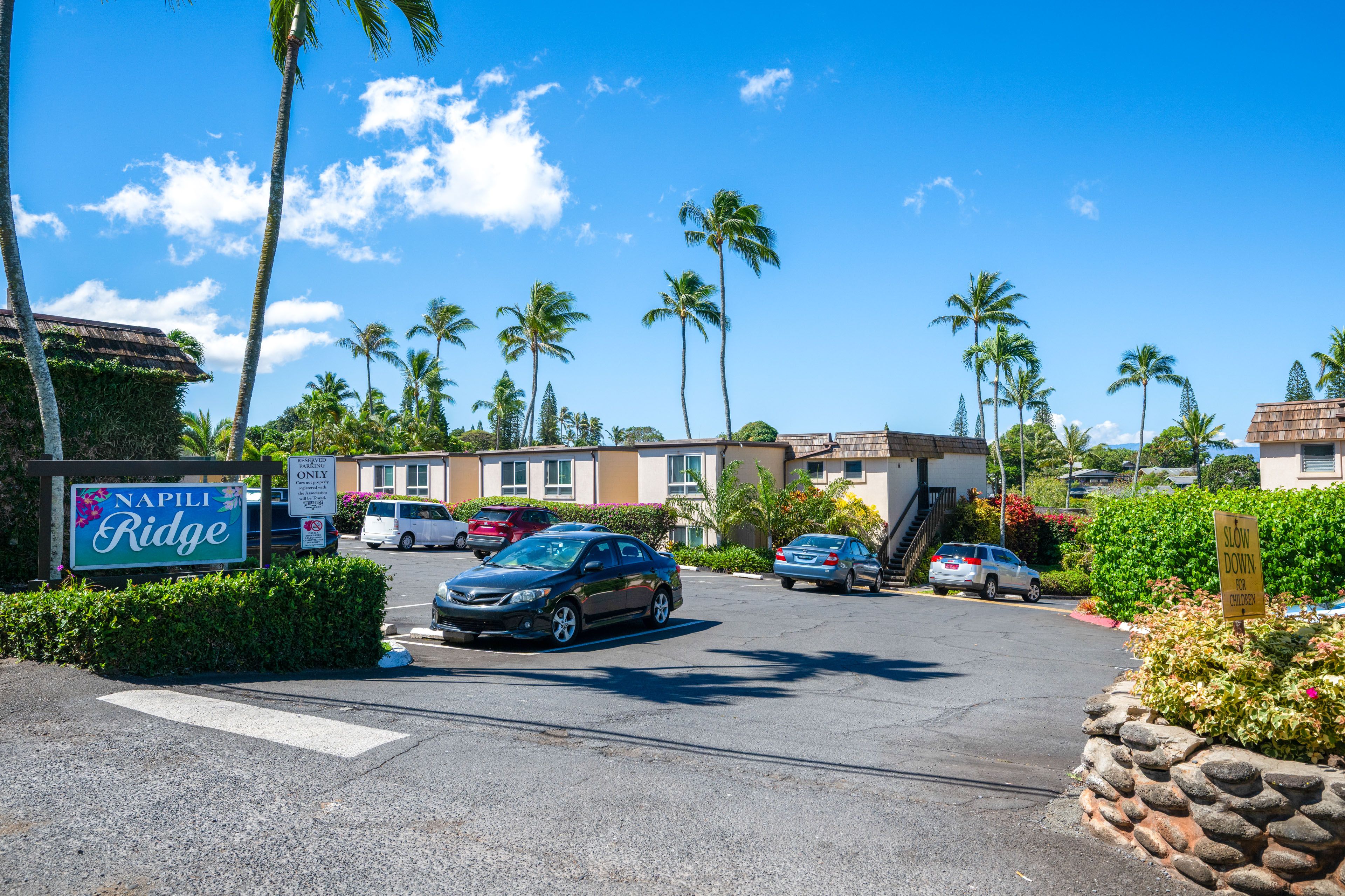 Parking | Community Parking (1 Vehicle)