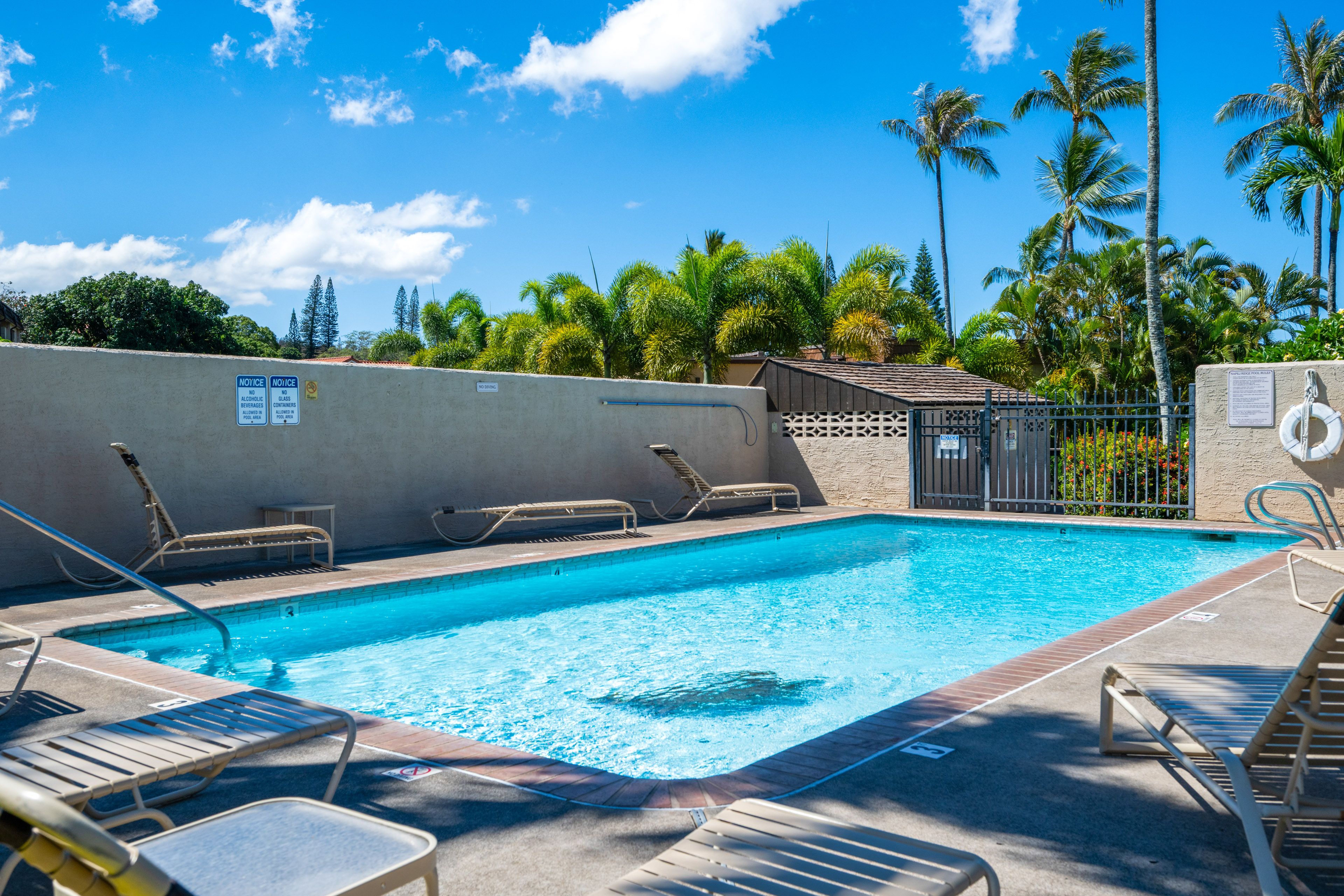 Napili Ridge | Community Amenities