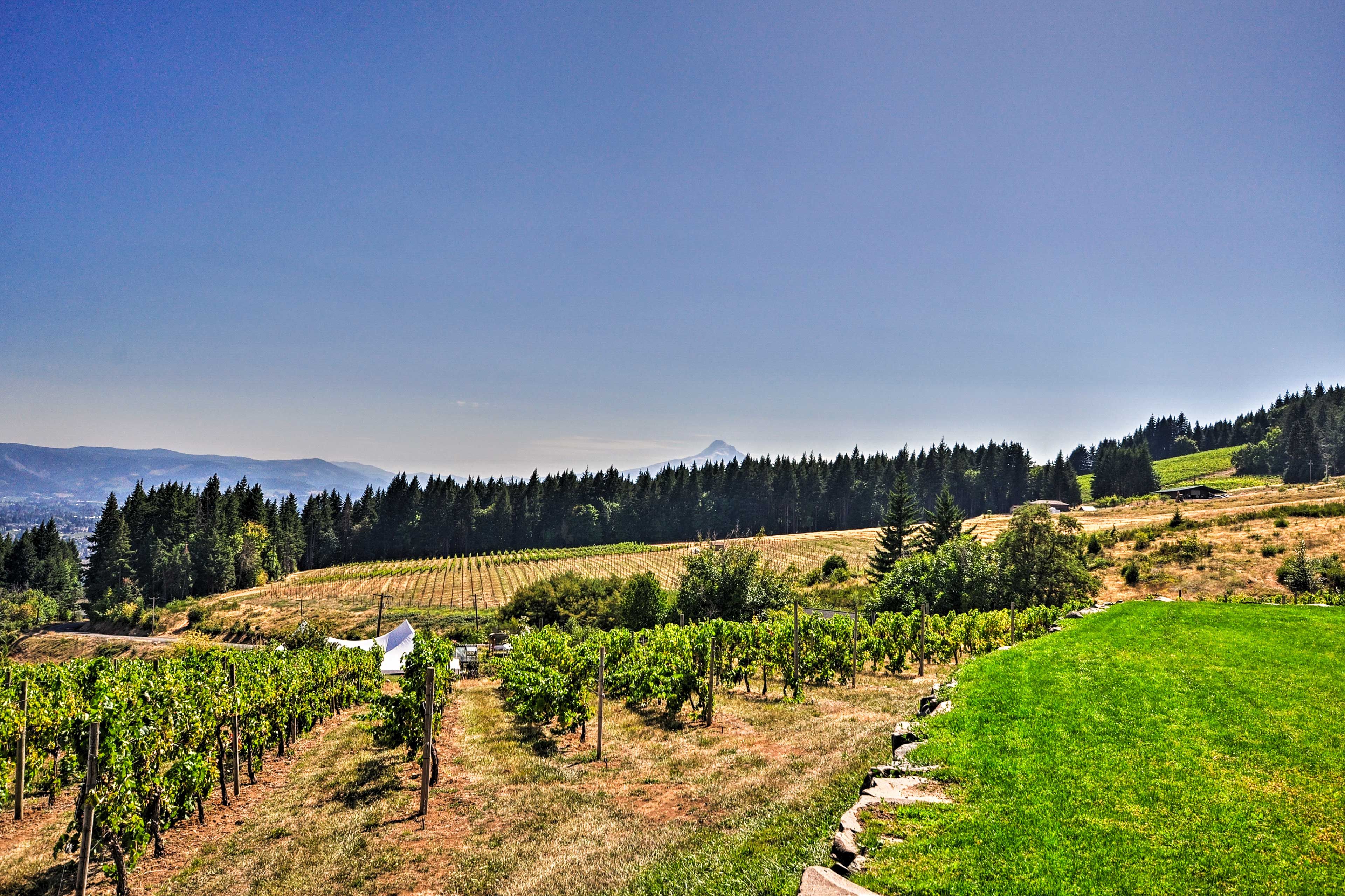 Exterior | Working Vineyard On-Site