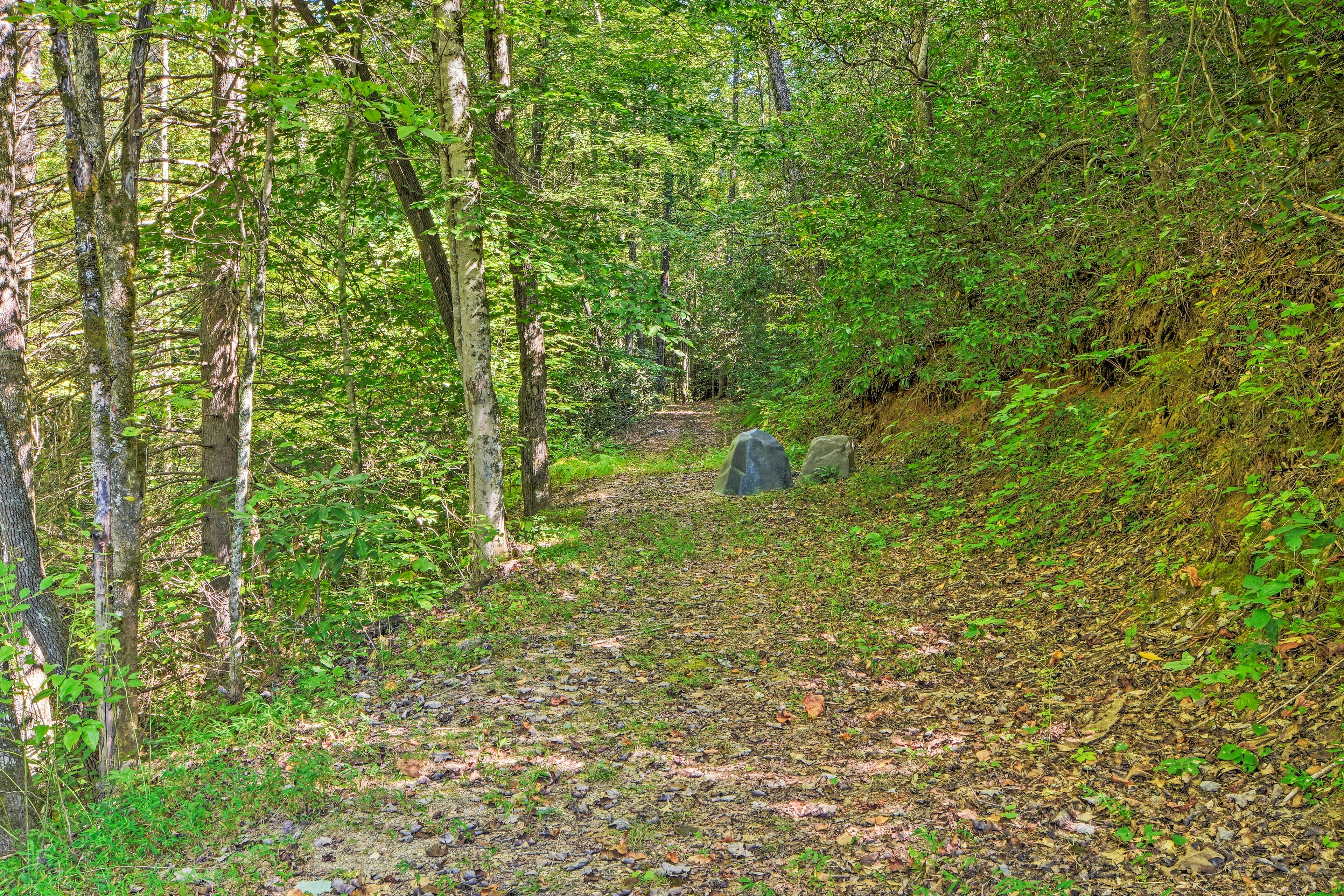 Surrounding Area