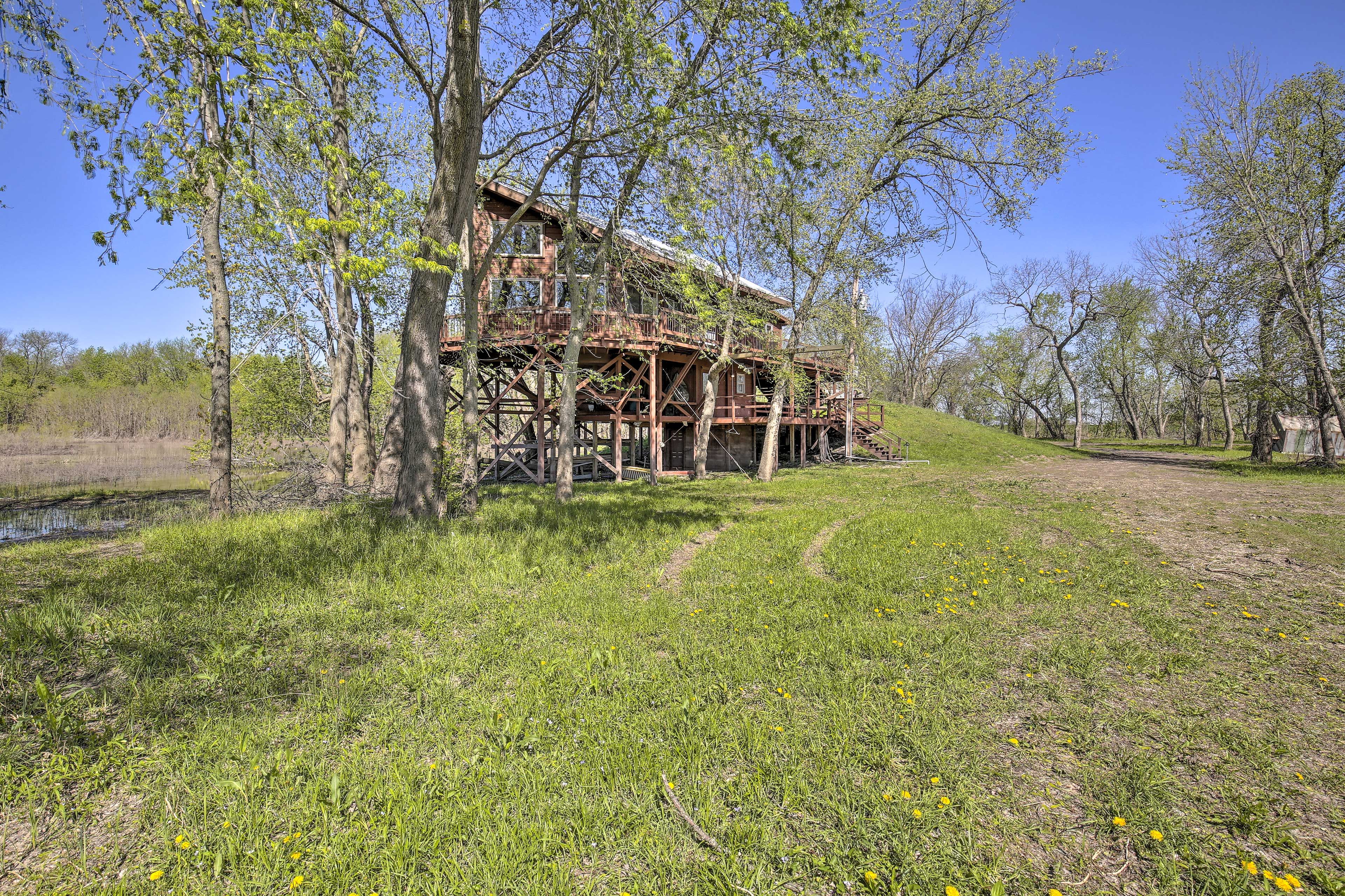 Image 30
