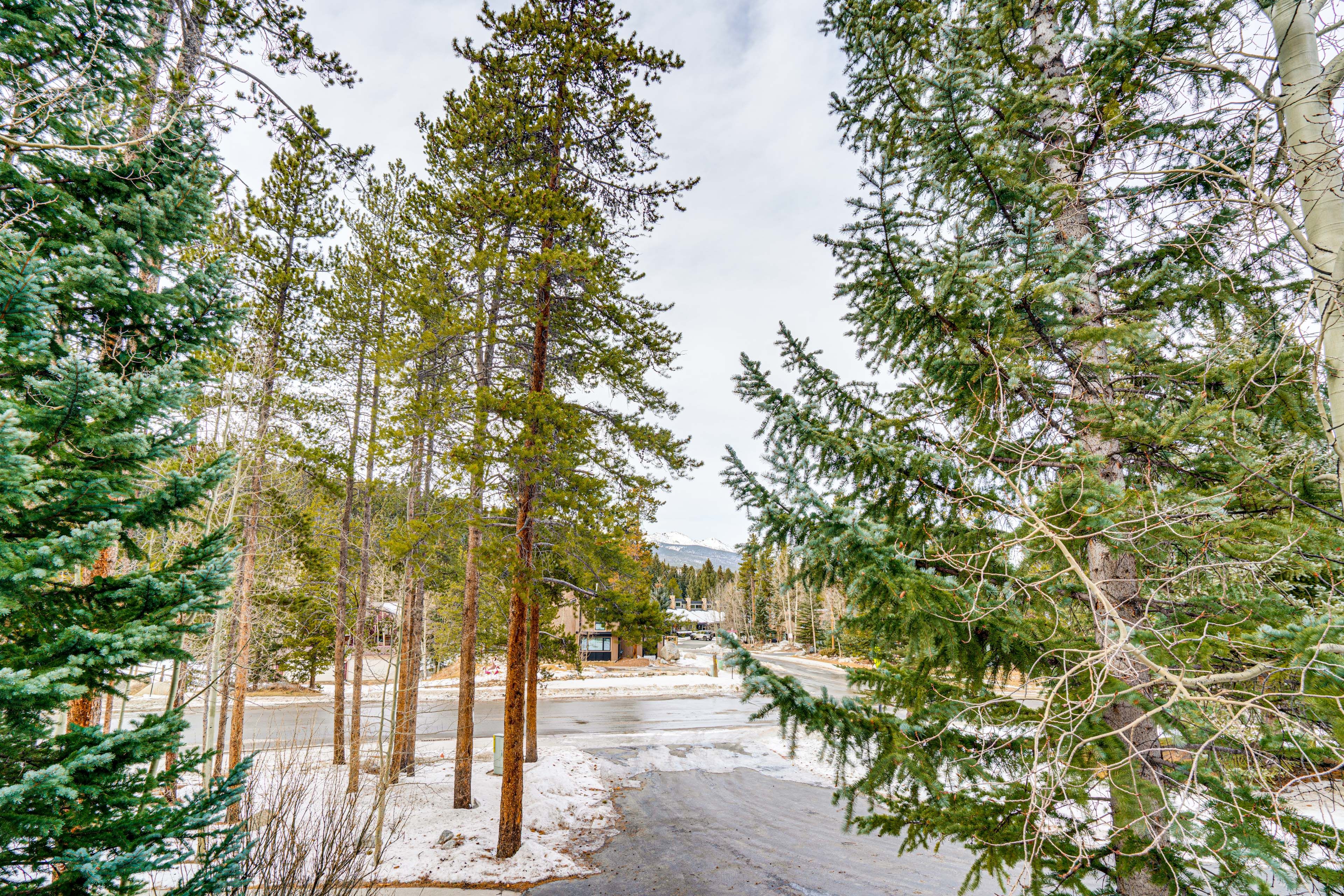 Property Views in Winter