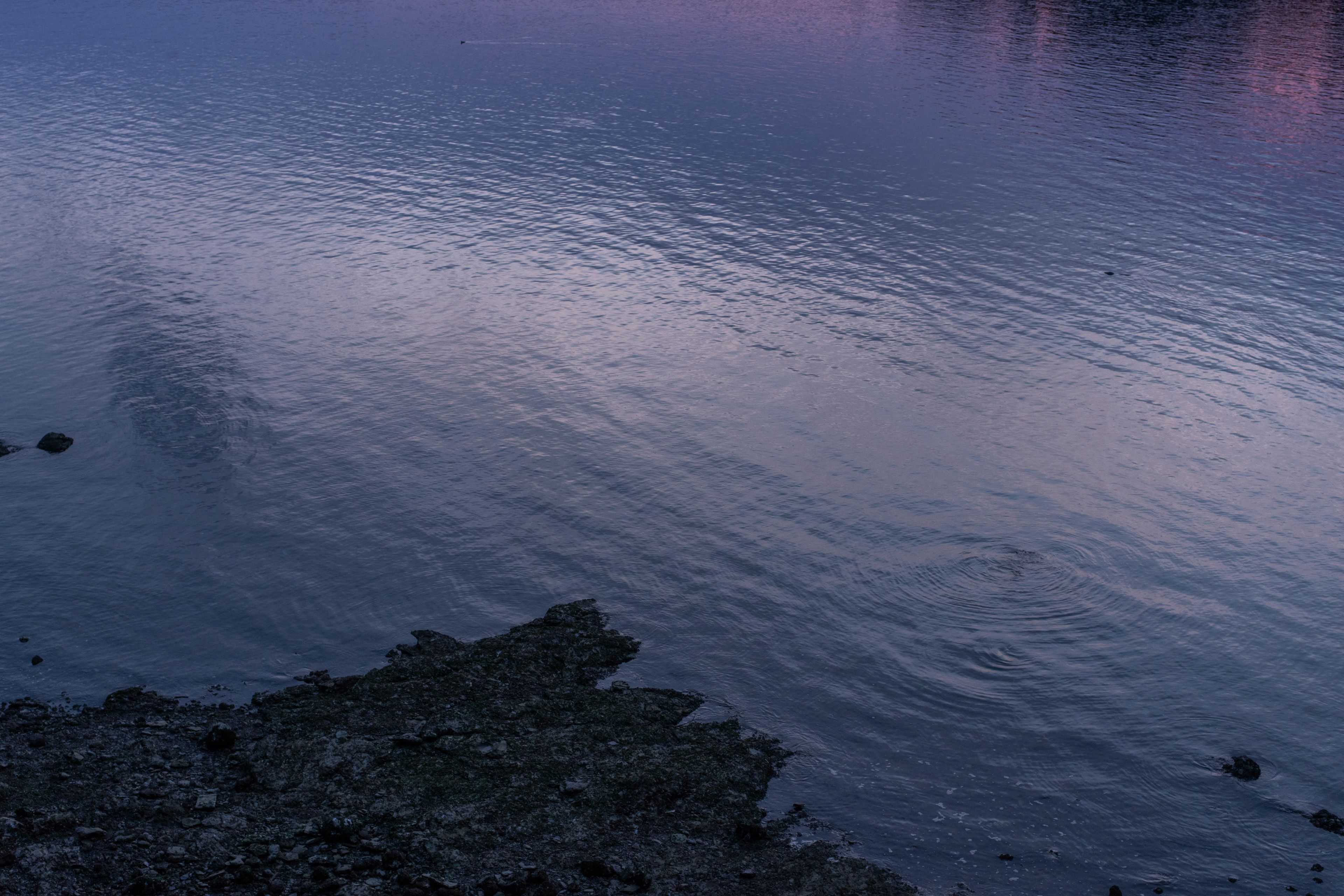 Image 38