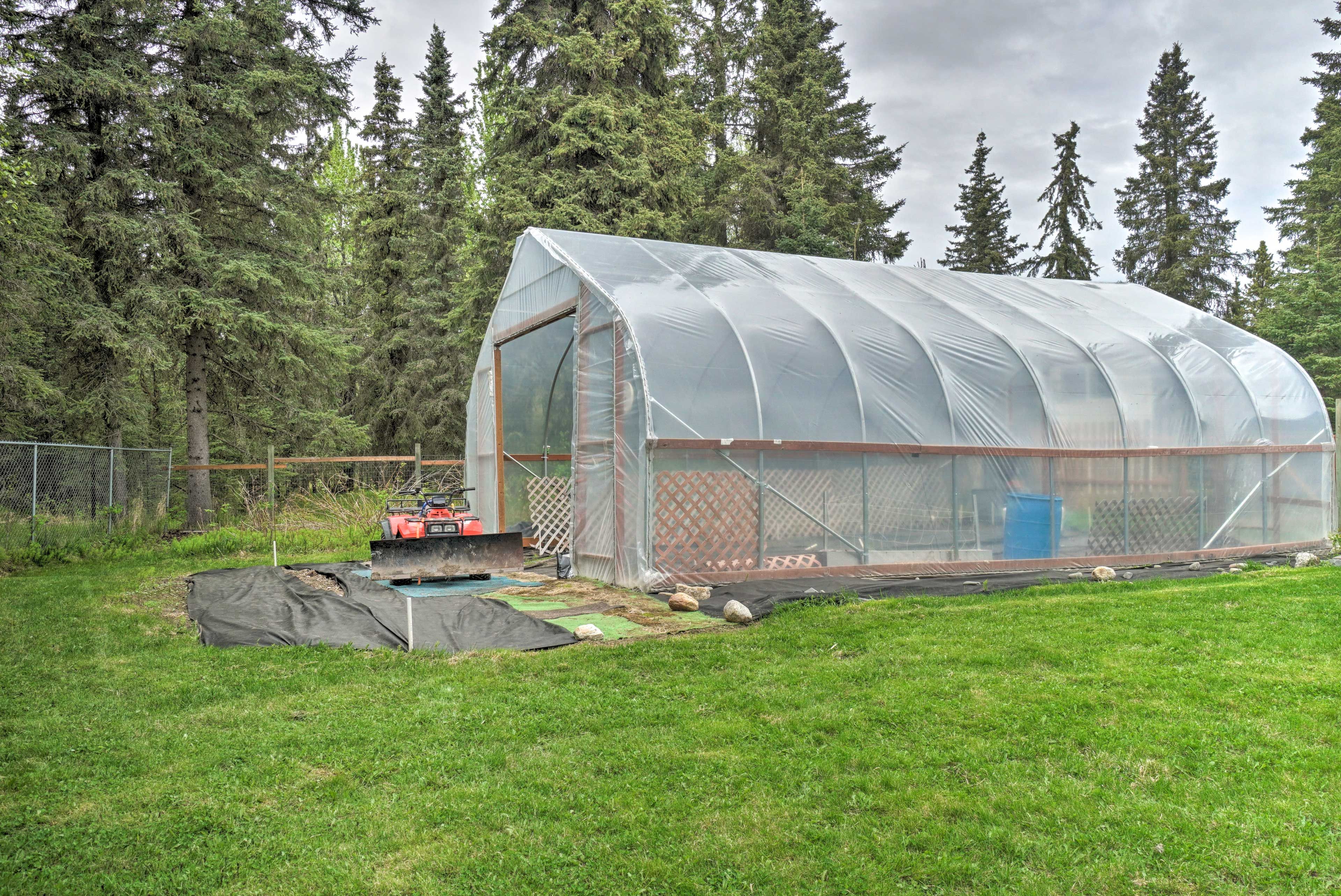 Yard