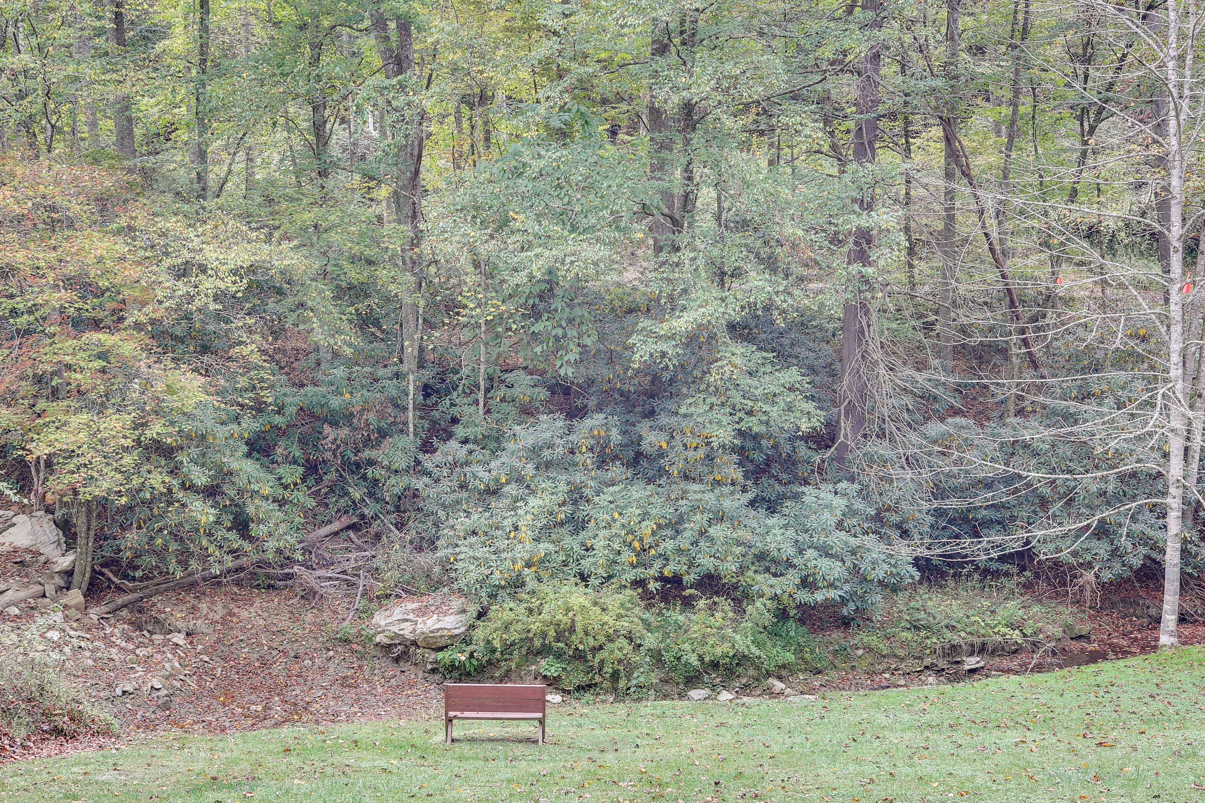 On-Site Creek Access