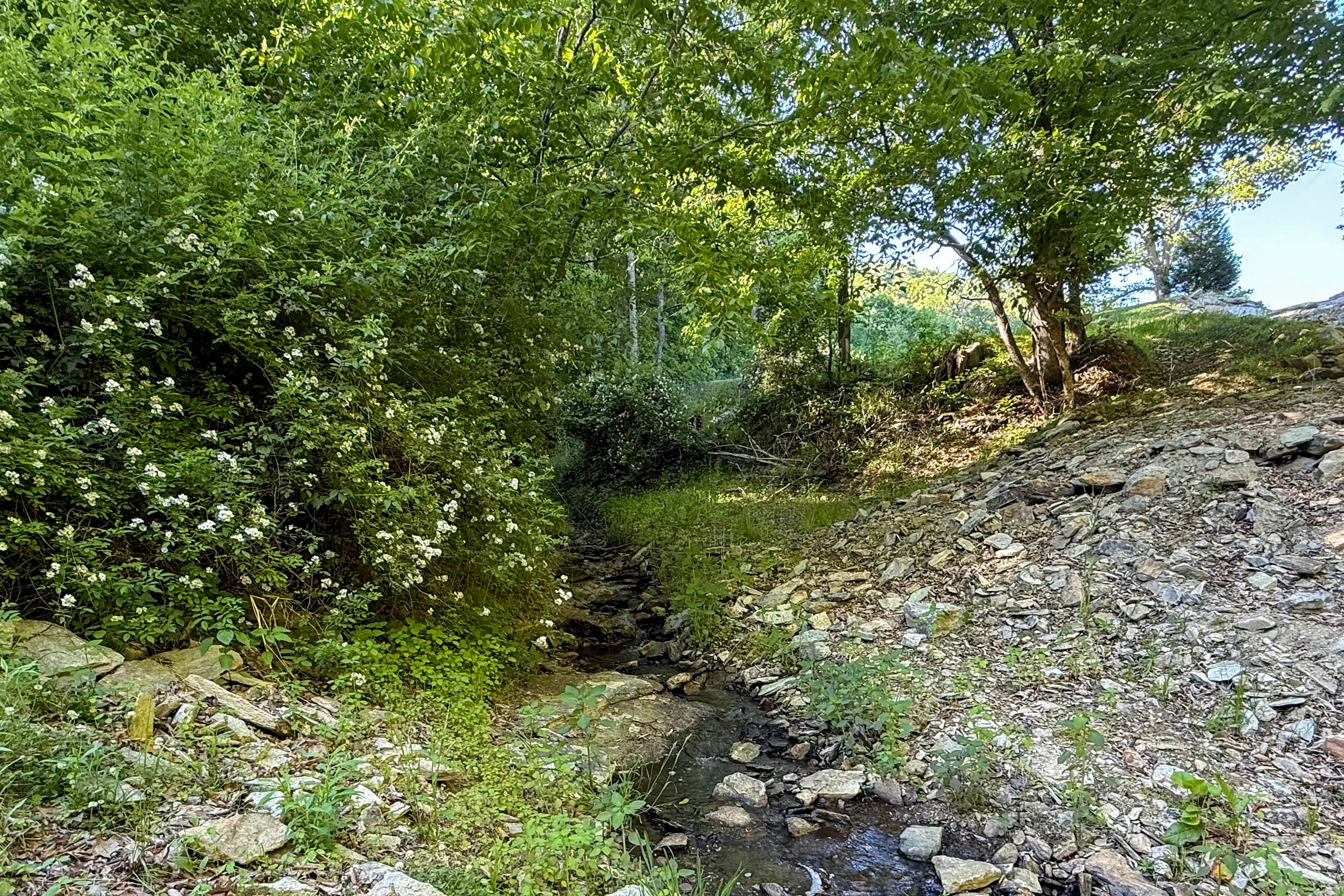 Image 23