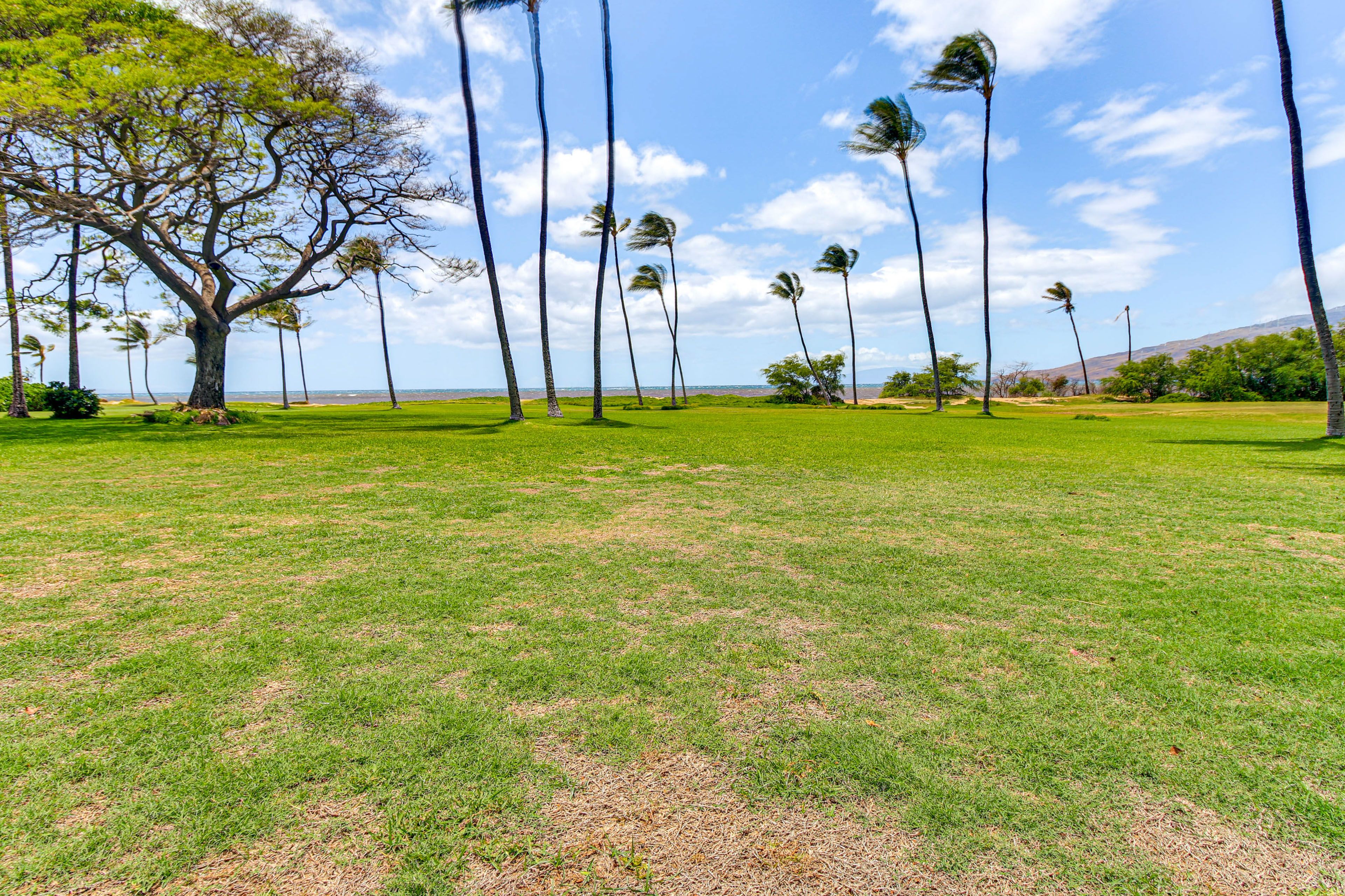 Waipuilani Park On-Site | Beach Access
