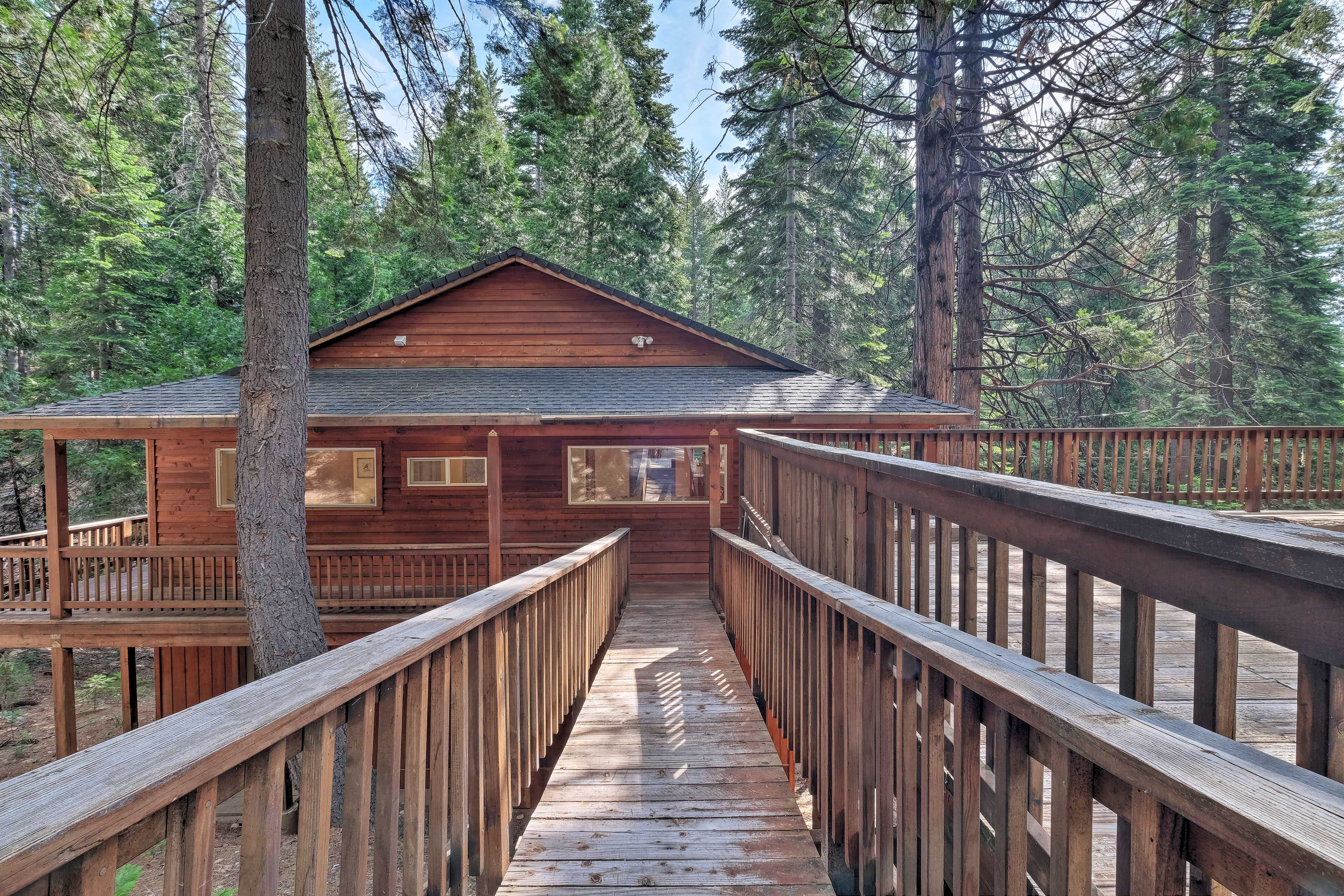 Entrance | Ramp | Wooded Lot