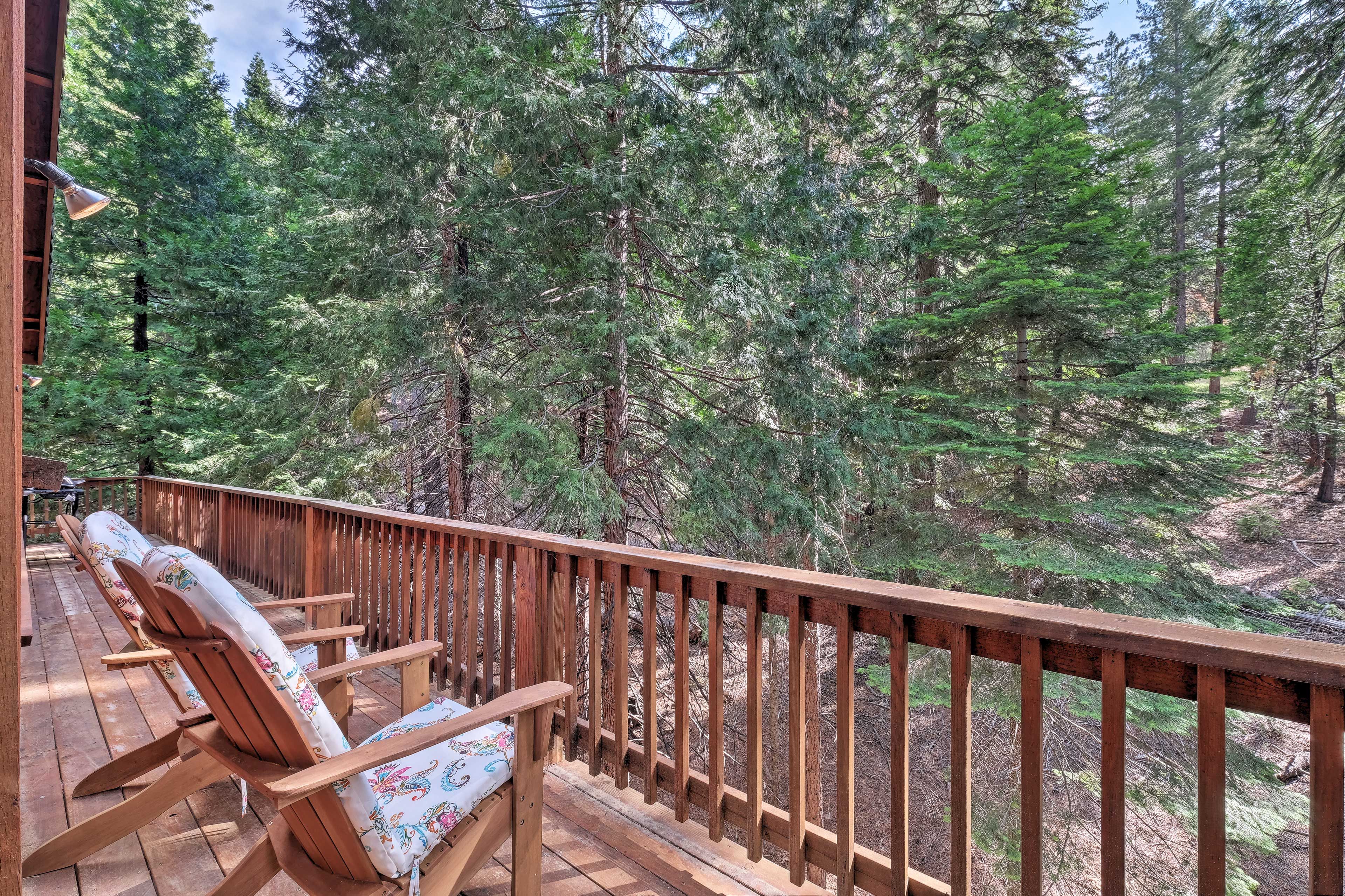 Dorrington Vacation Rental | 3BR | 2.5BA | 2,048 Sq Ft | Step-Free Access