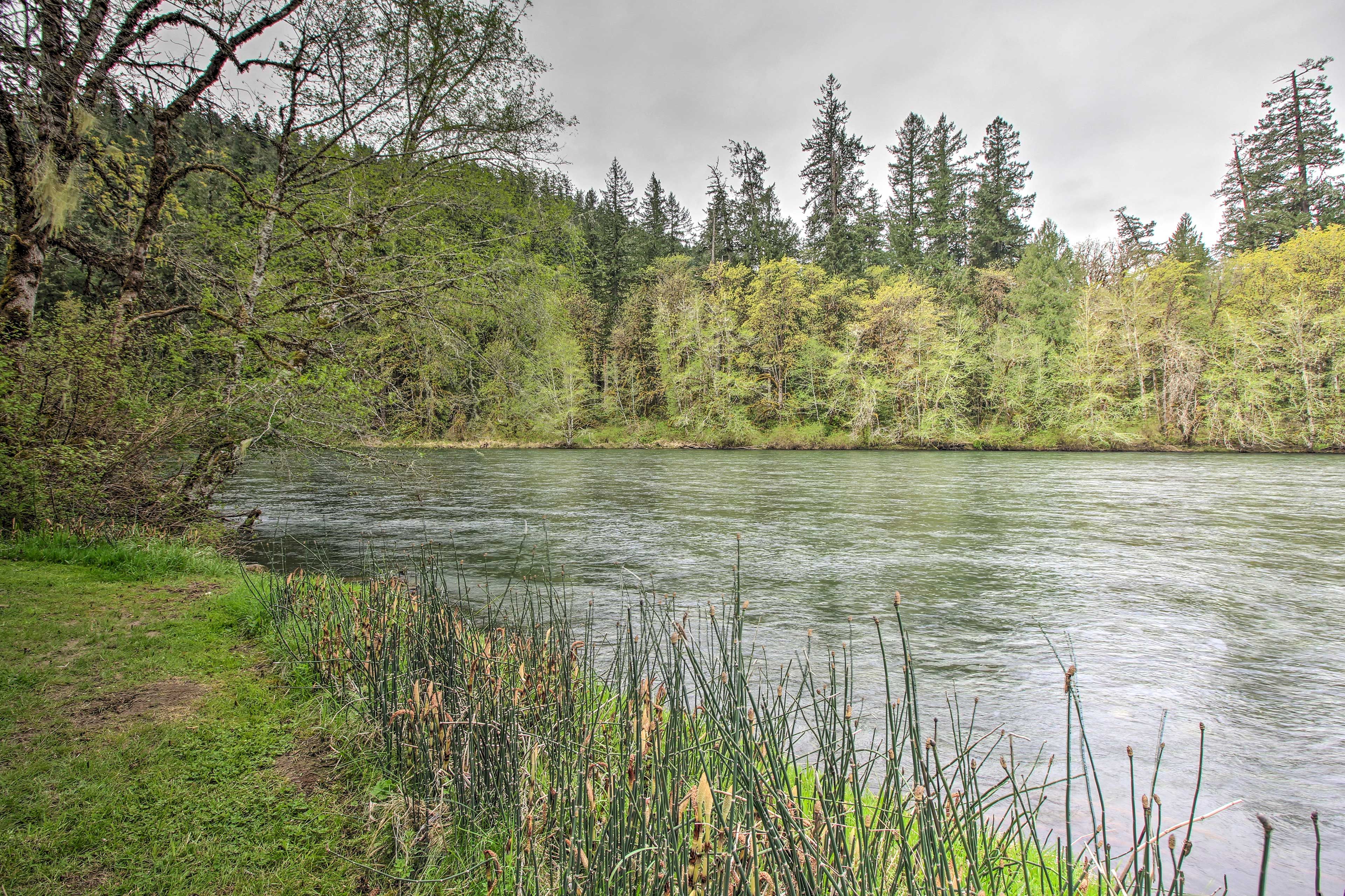 This cabin is just minutes from Willamette National Forest & Marten Rapids Park!