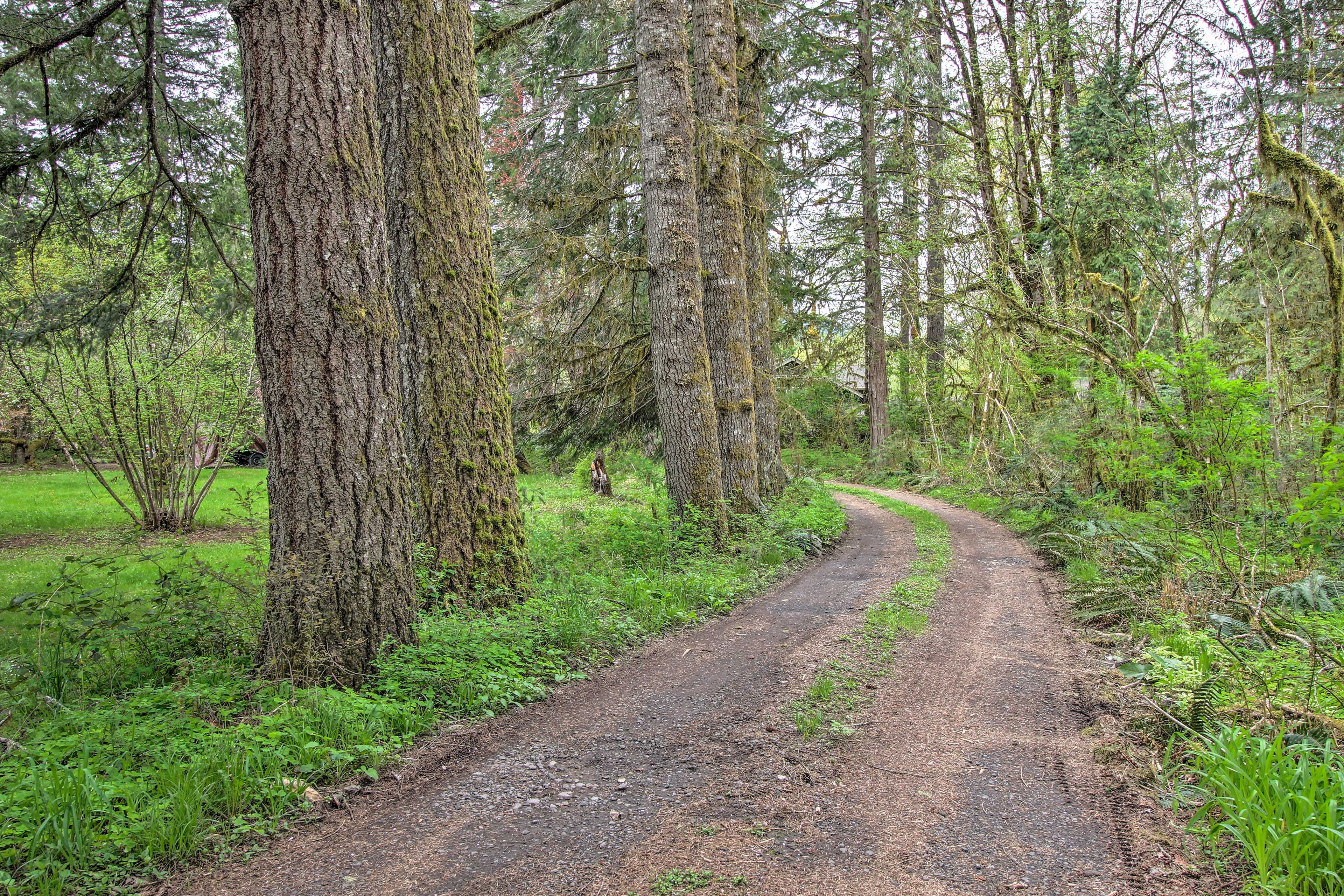 You'll find adventure around every corner at this Vida vacation rental!