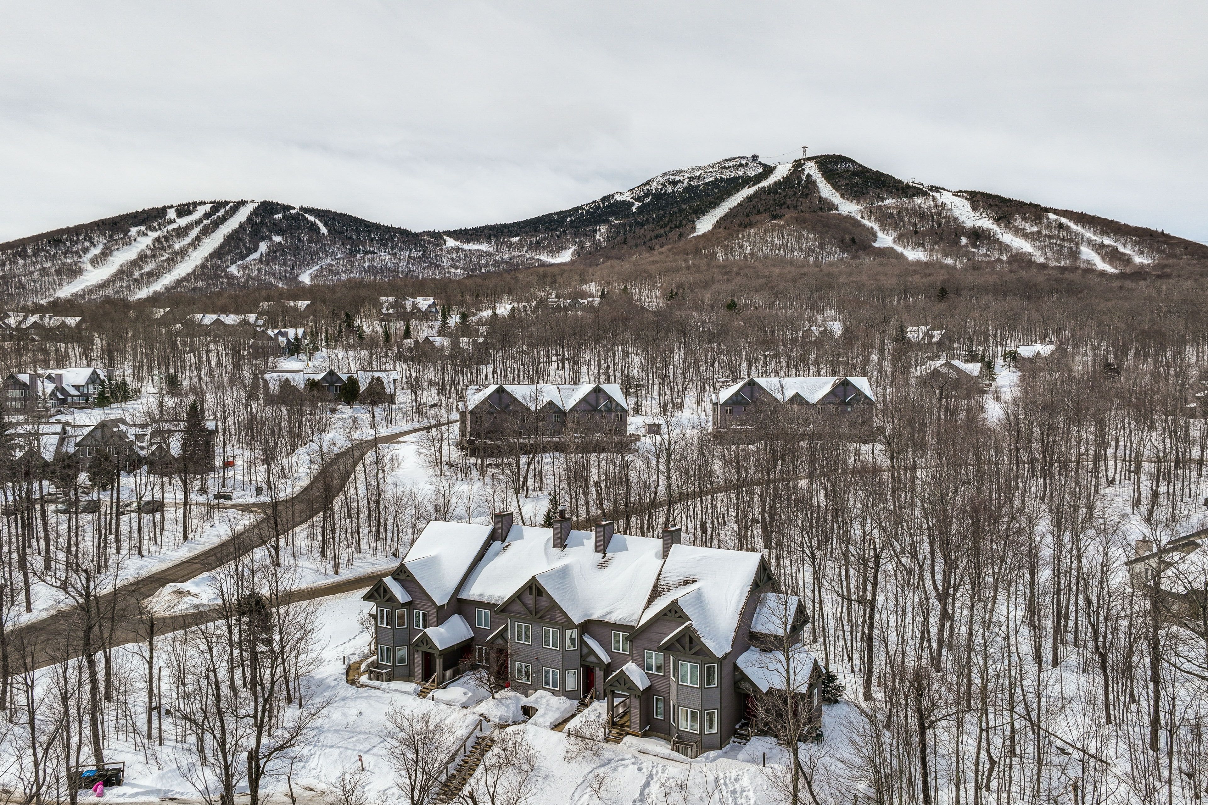 Aerial Views