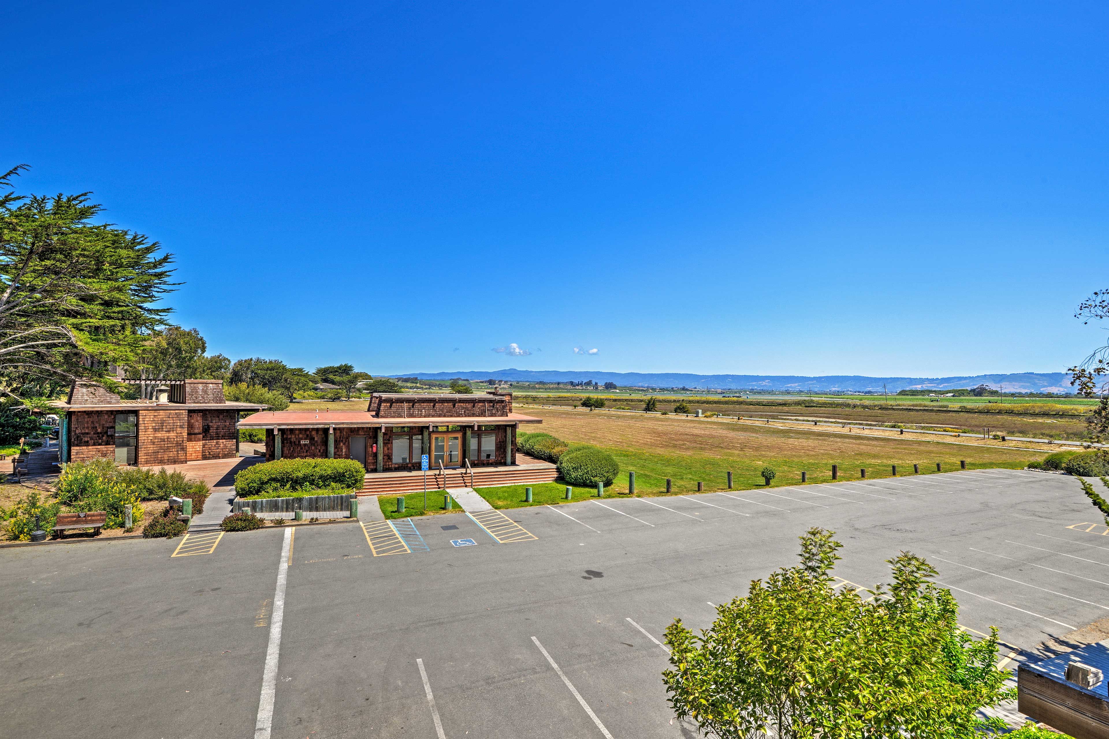 Parking | Open Lot
