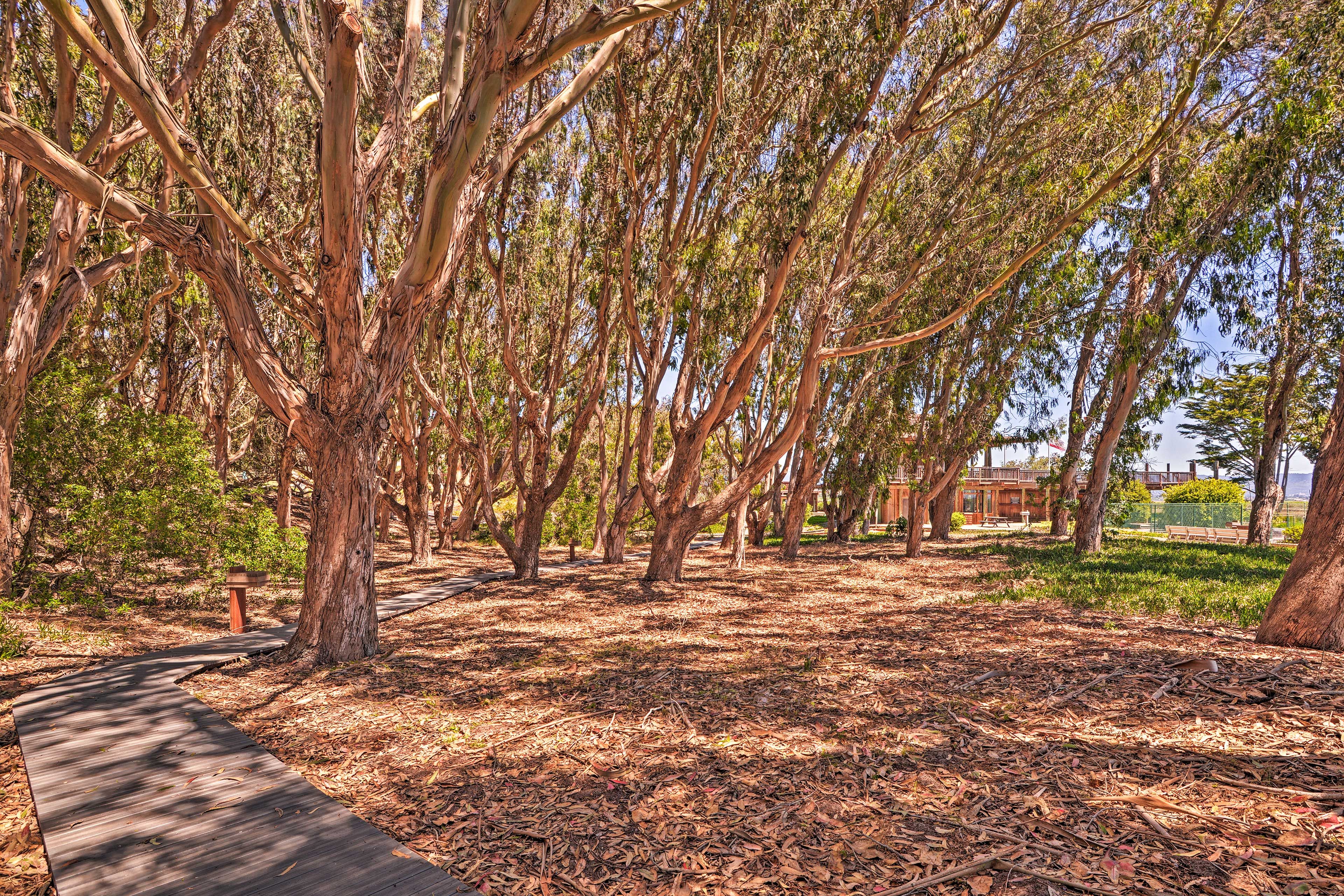 Walking Paths
