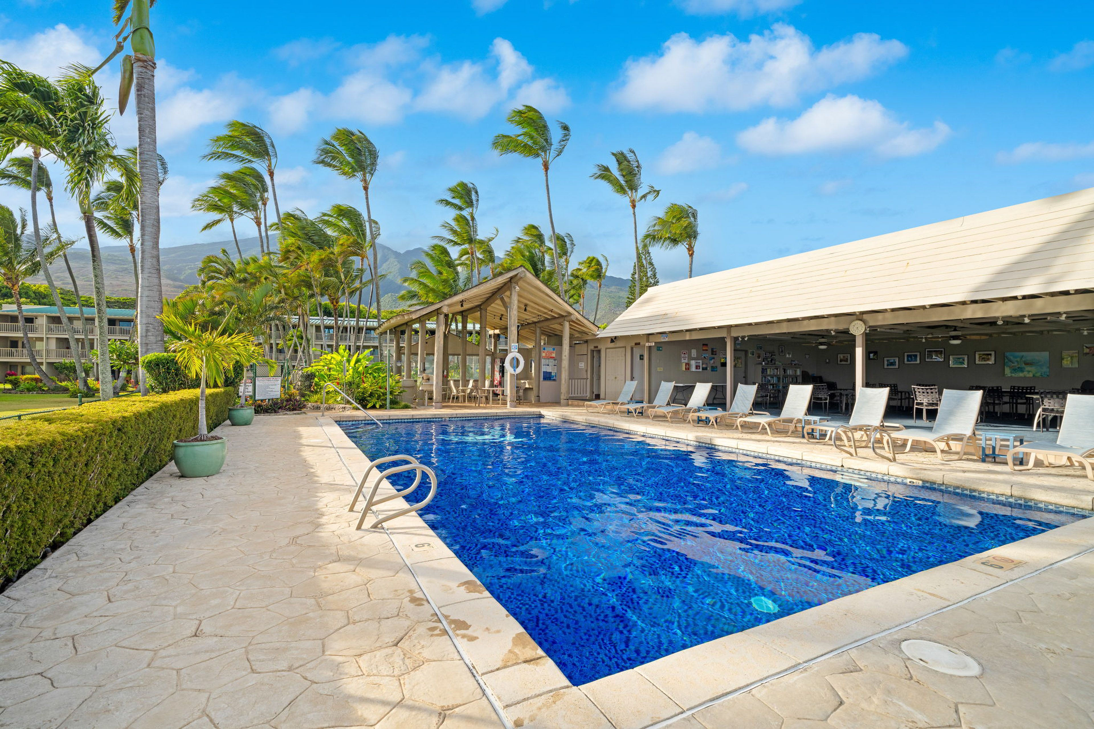 Wavecrest Resort Pool