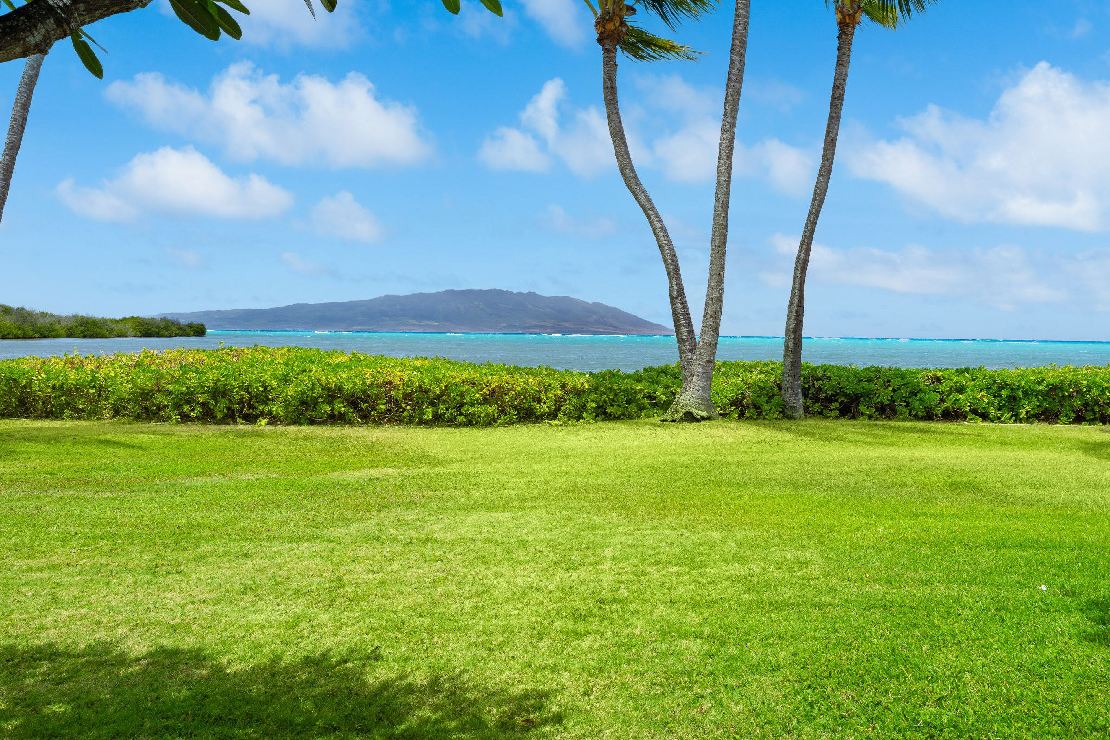 Oceanfront Views