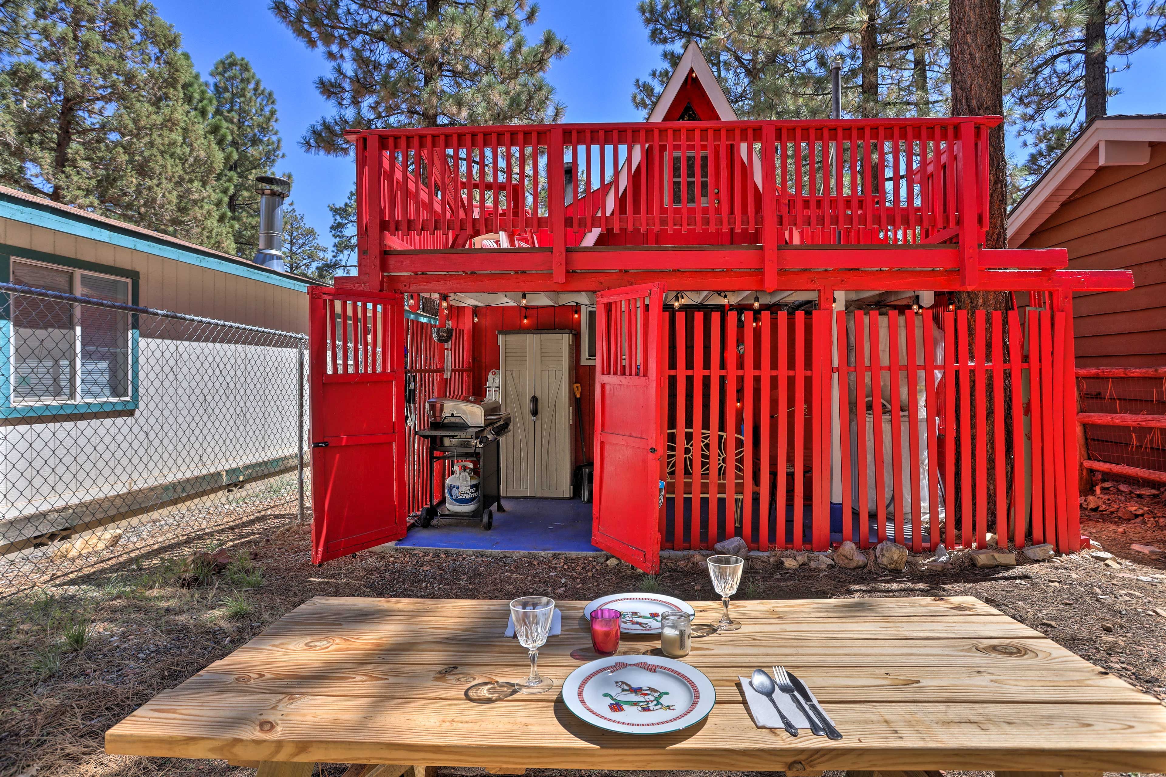 Backyard | Picnic Table