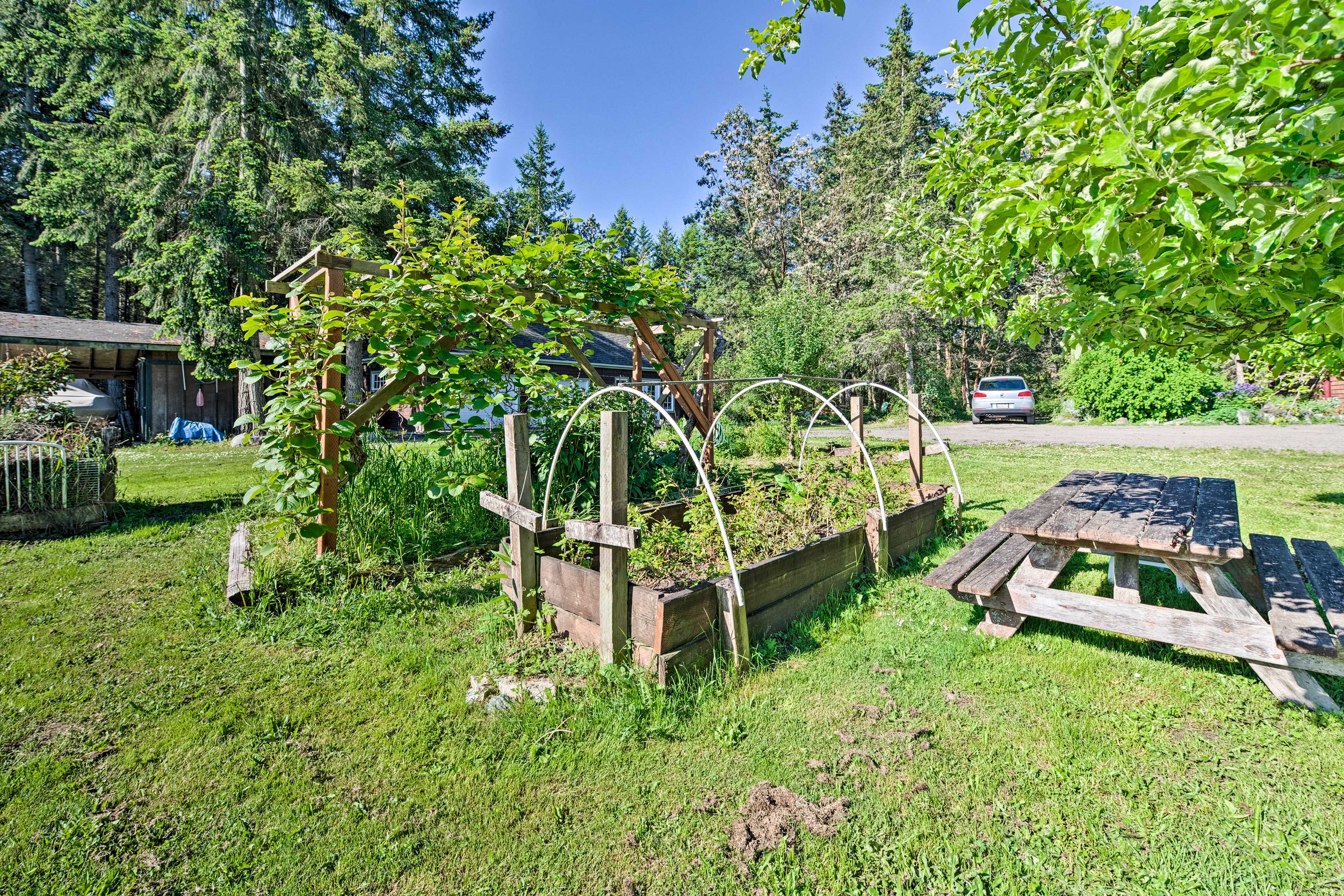 Image 21