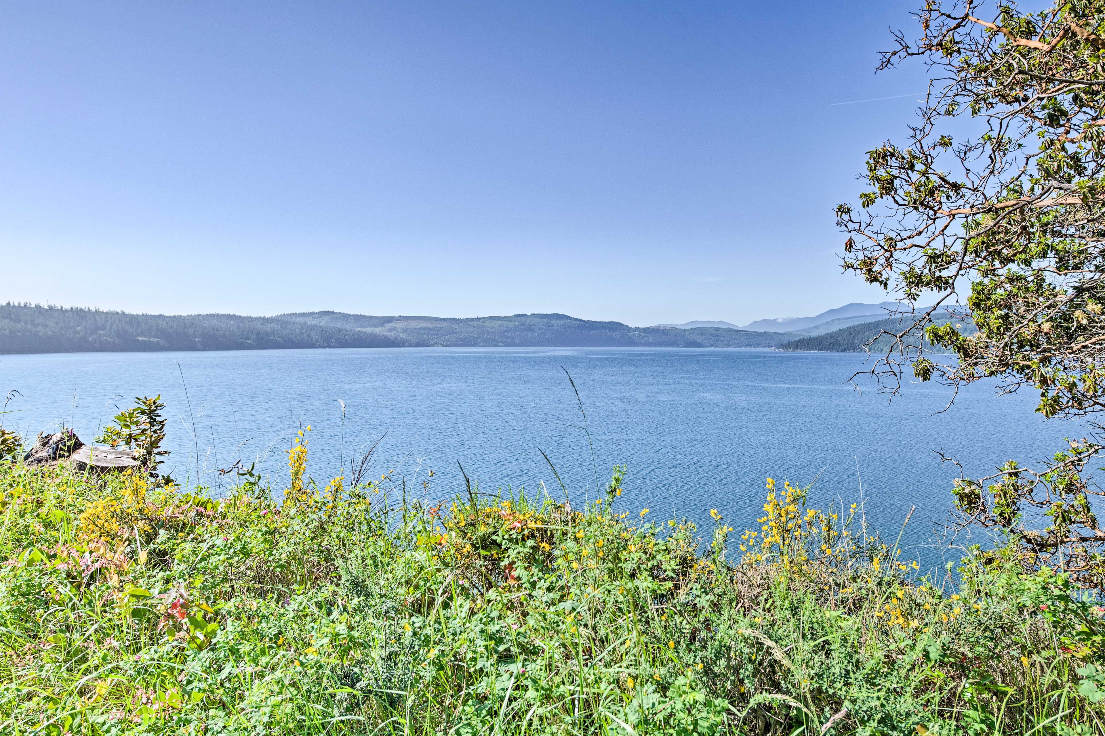 Bay Views
