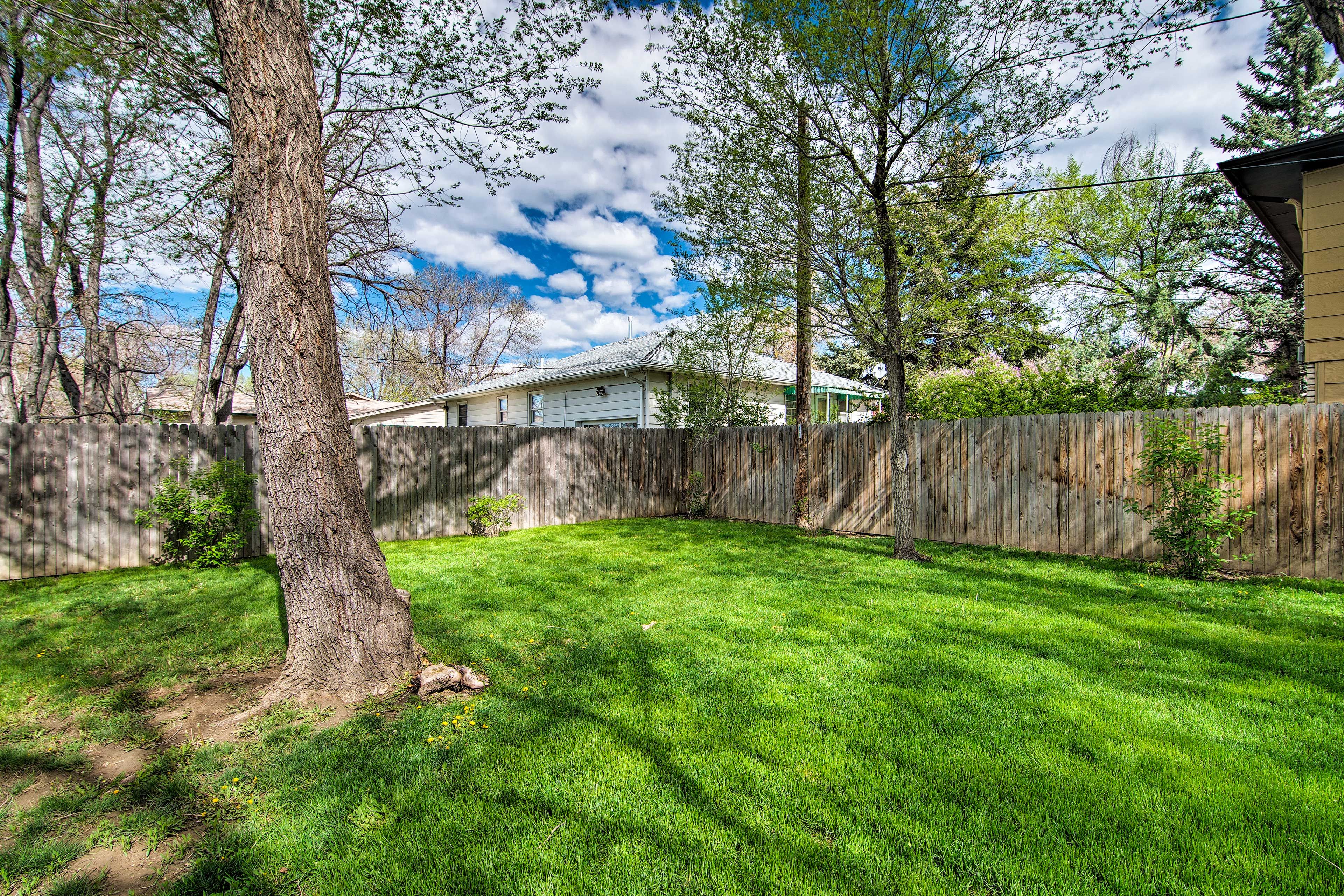 Play a game with the kiddos in the fenced yard space.