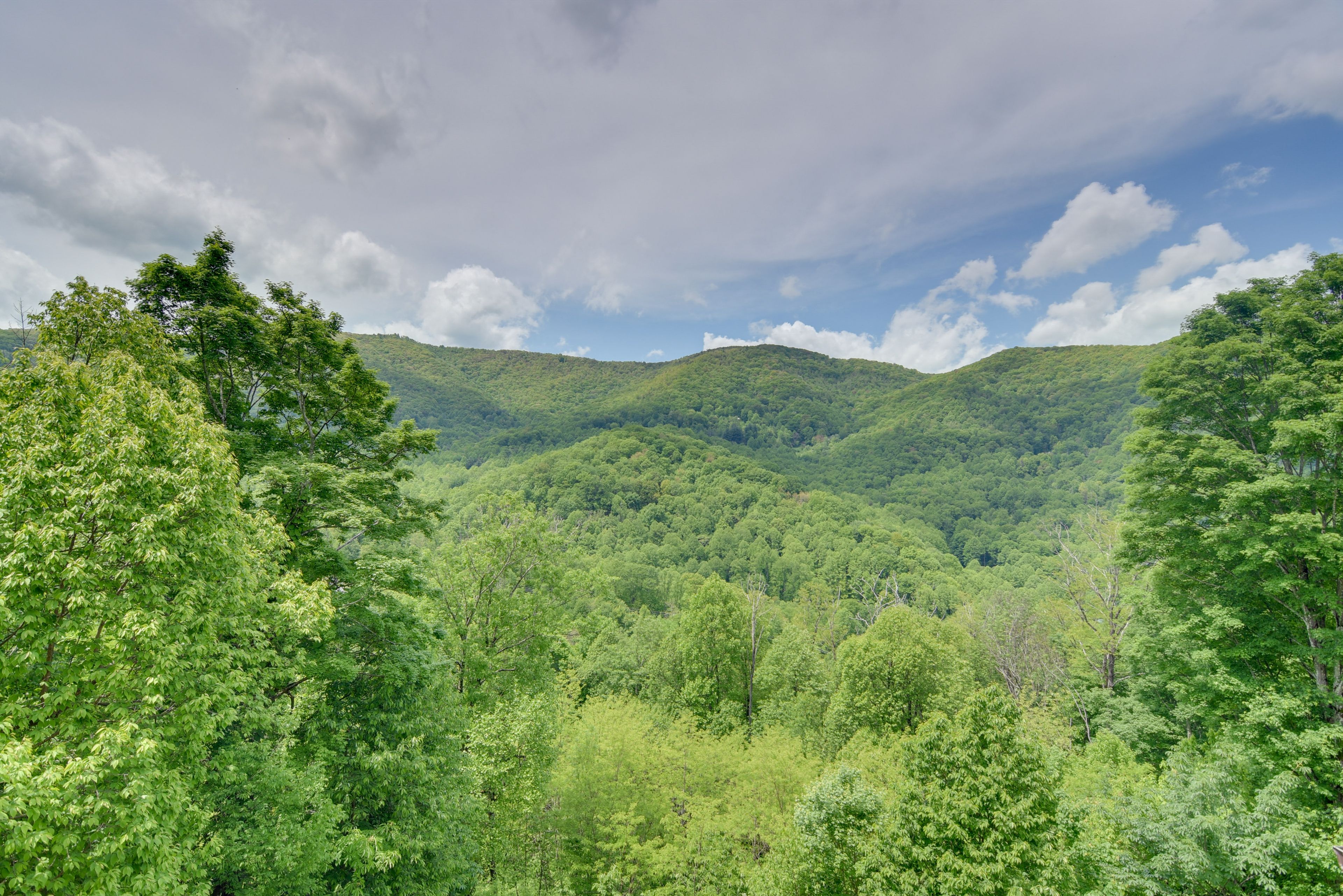 Image 33