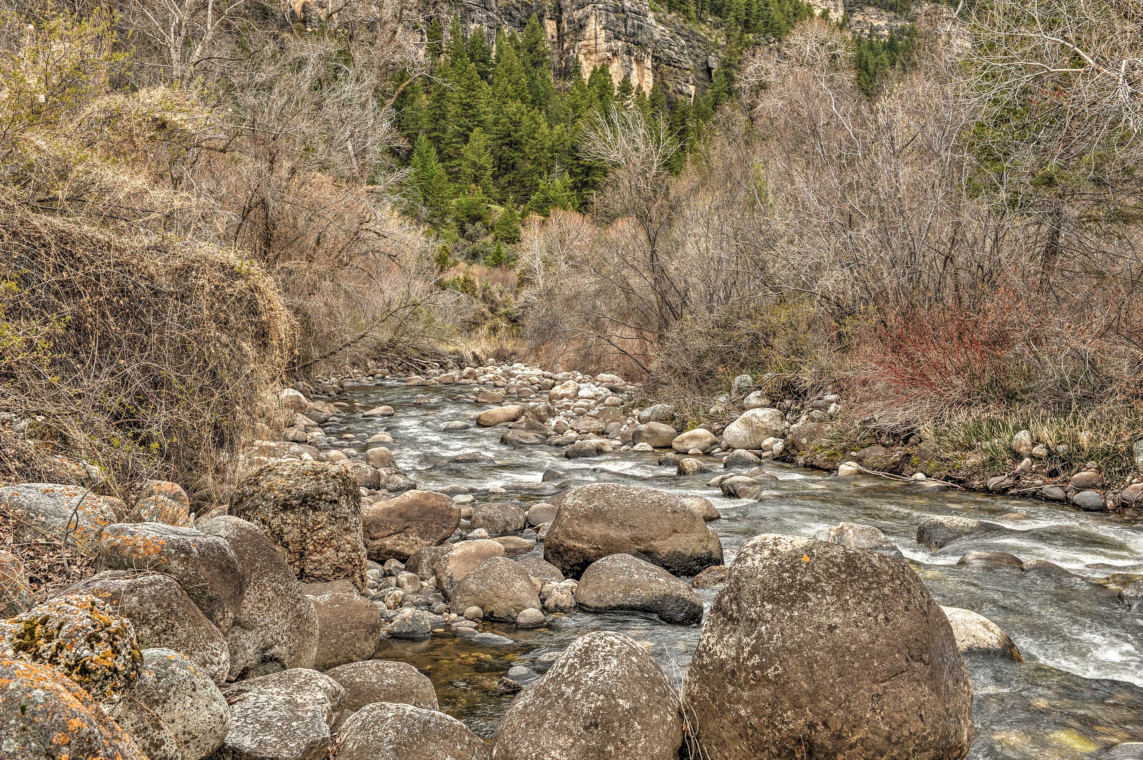 Enjoy the serenity of nature all around you.