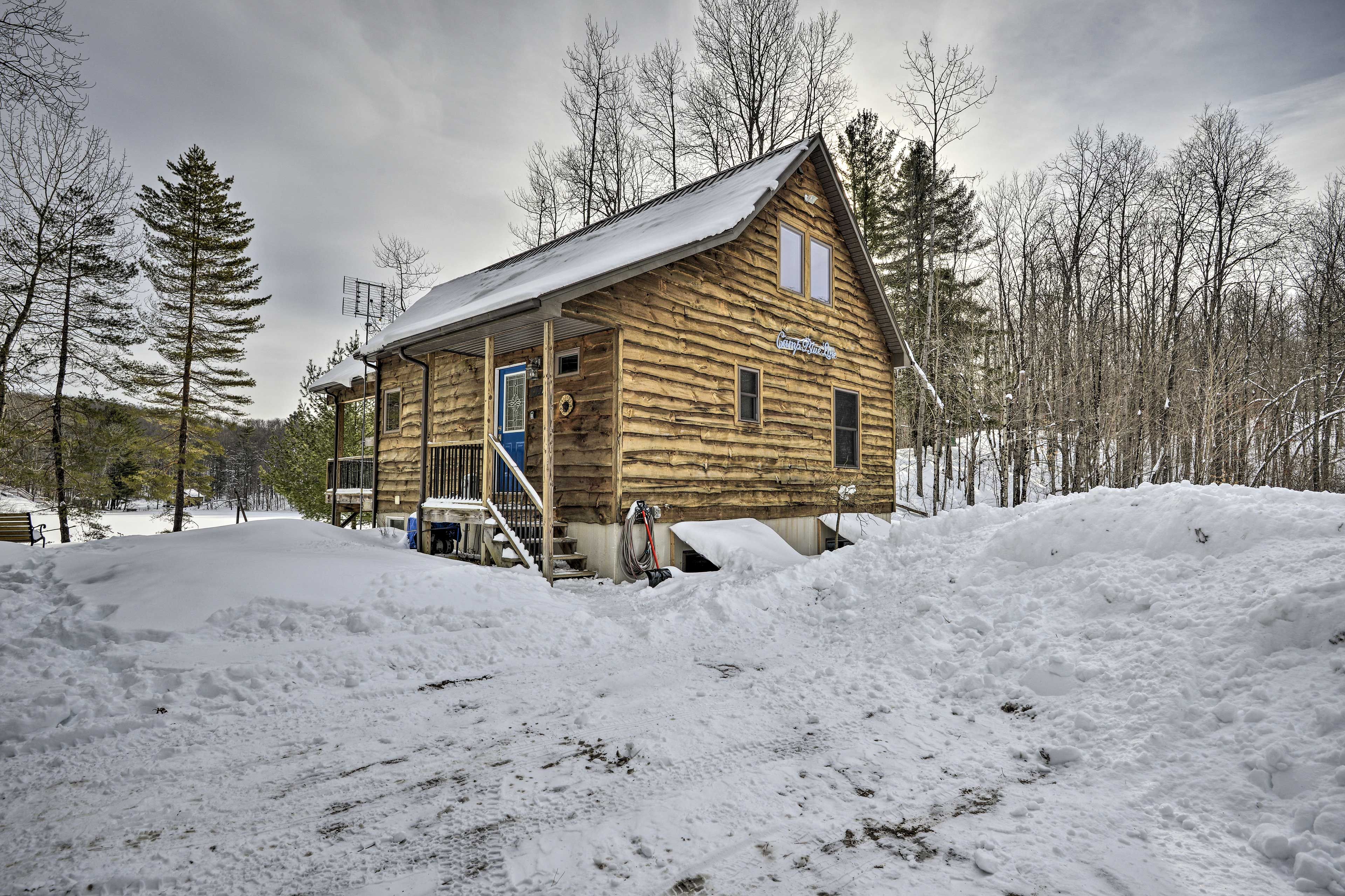 Image 41