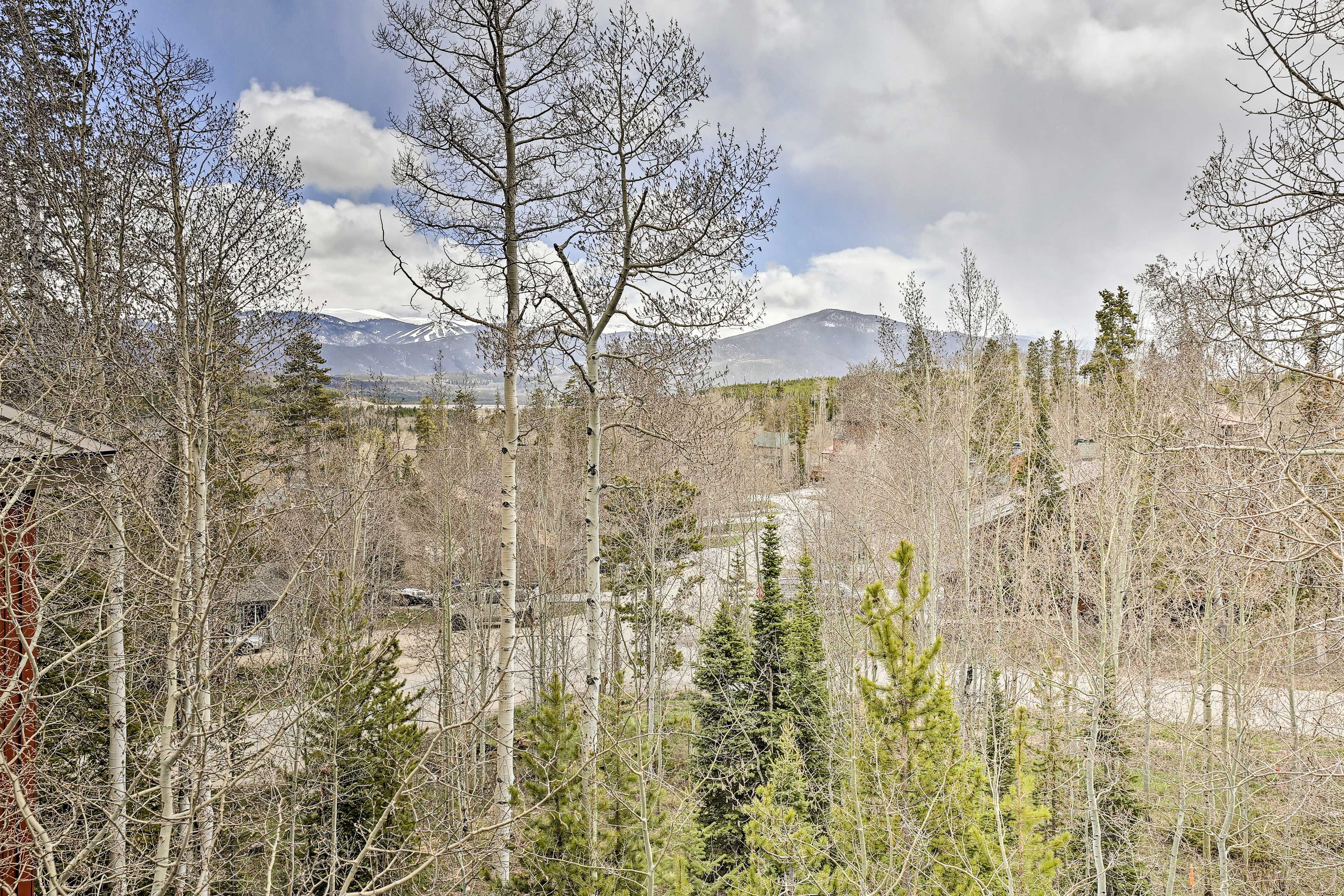 The property is located among an aspen grove.