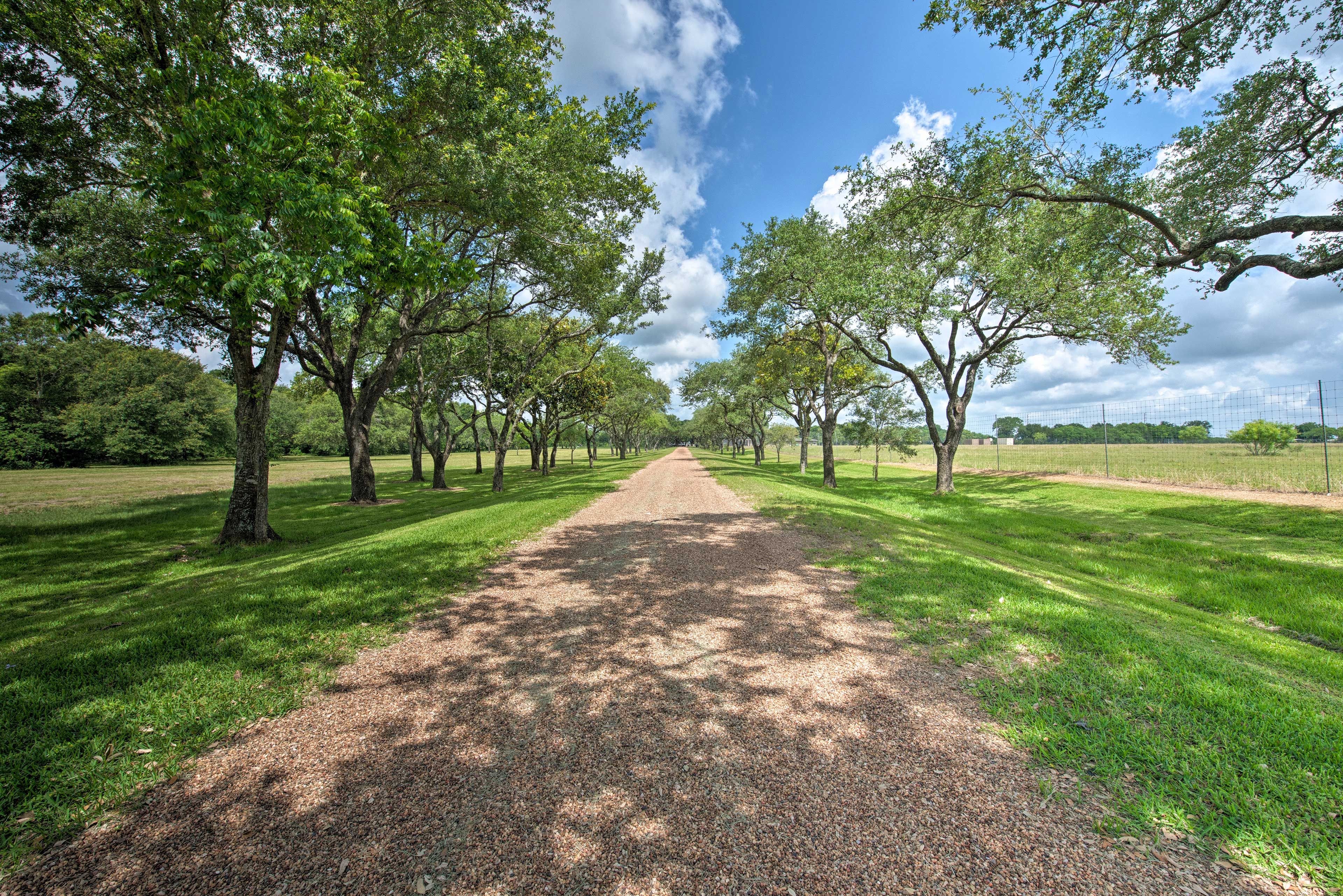 Roadway to Property