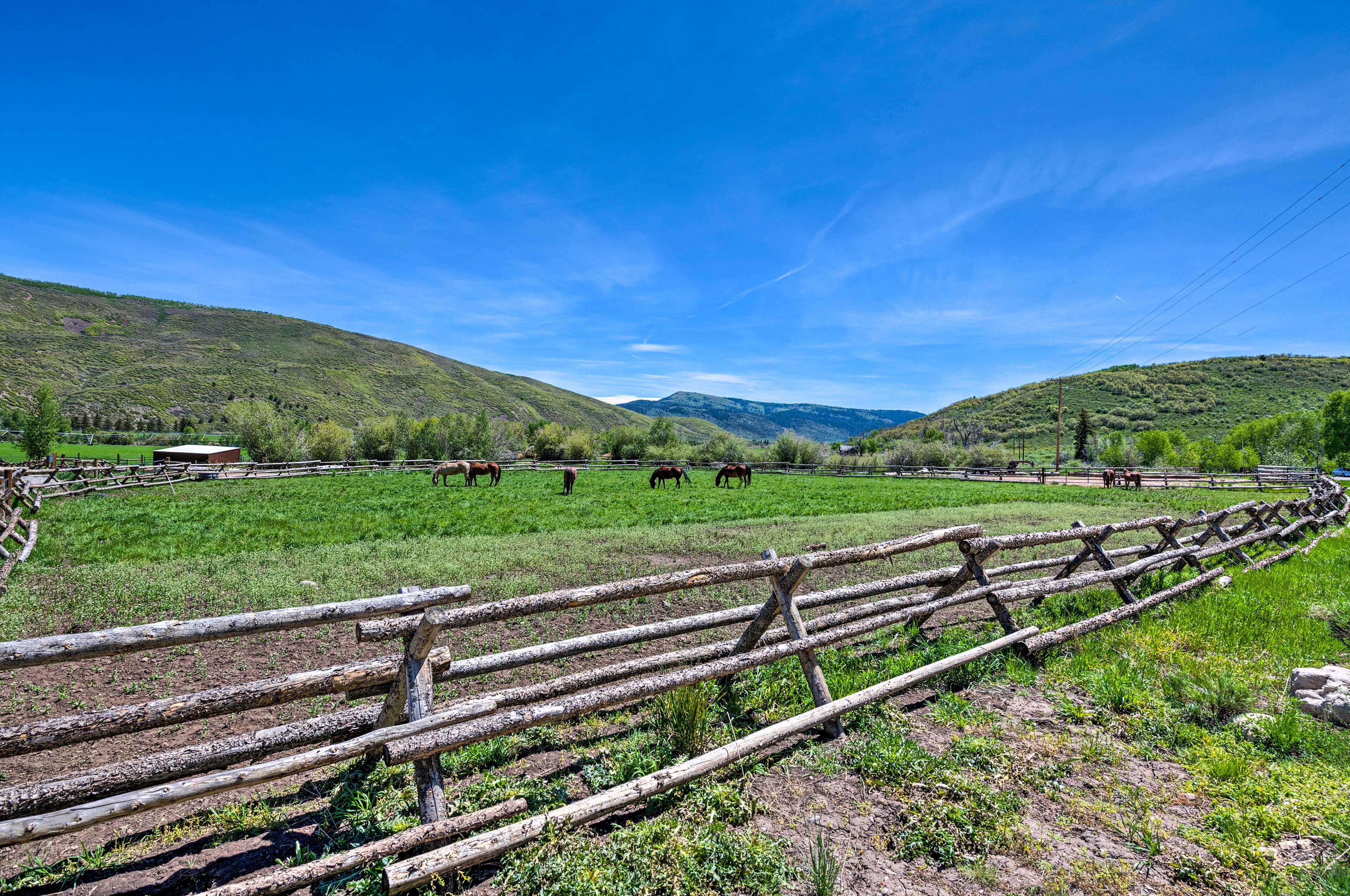 Property Views | Borders Buffalo Ranch