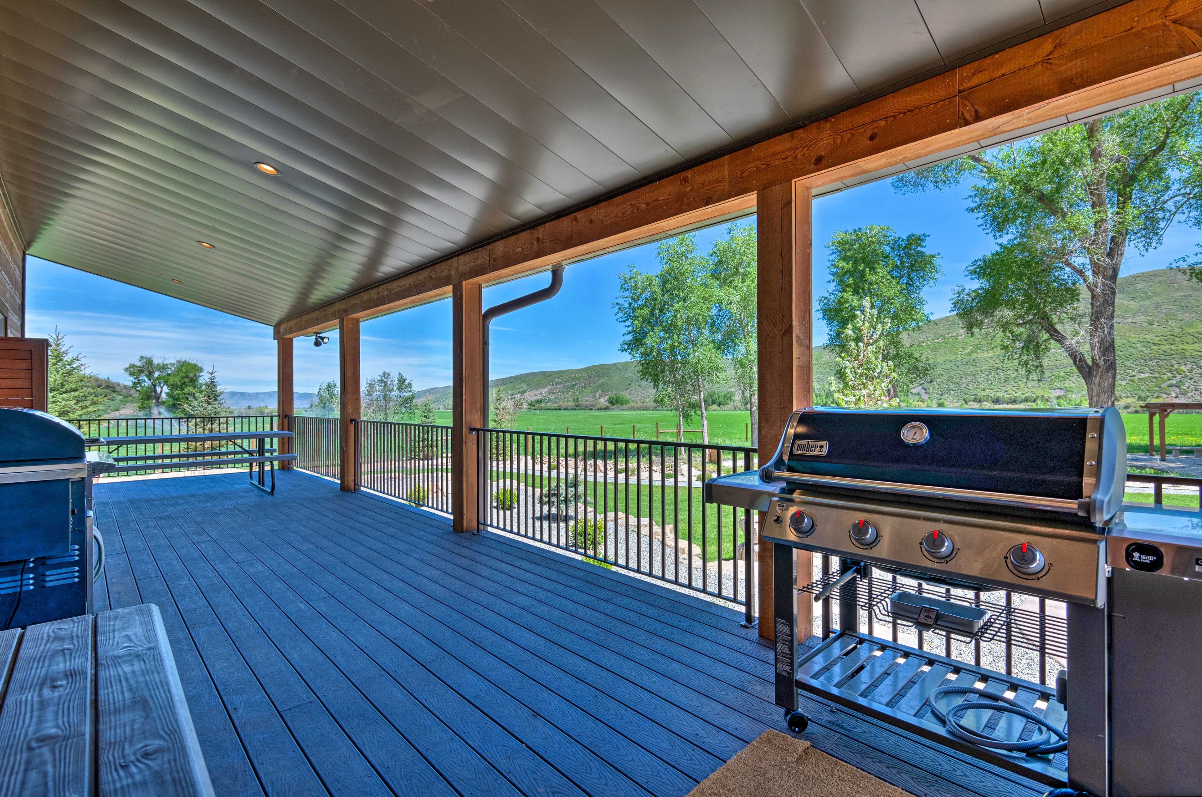 Deck | Gas Grill