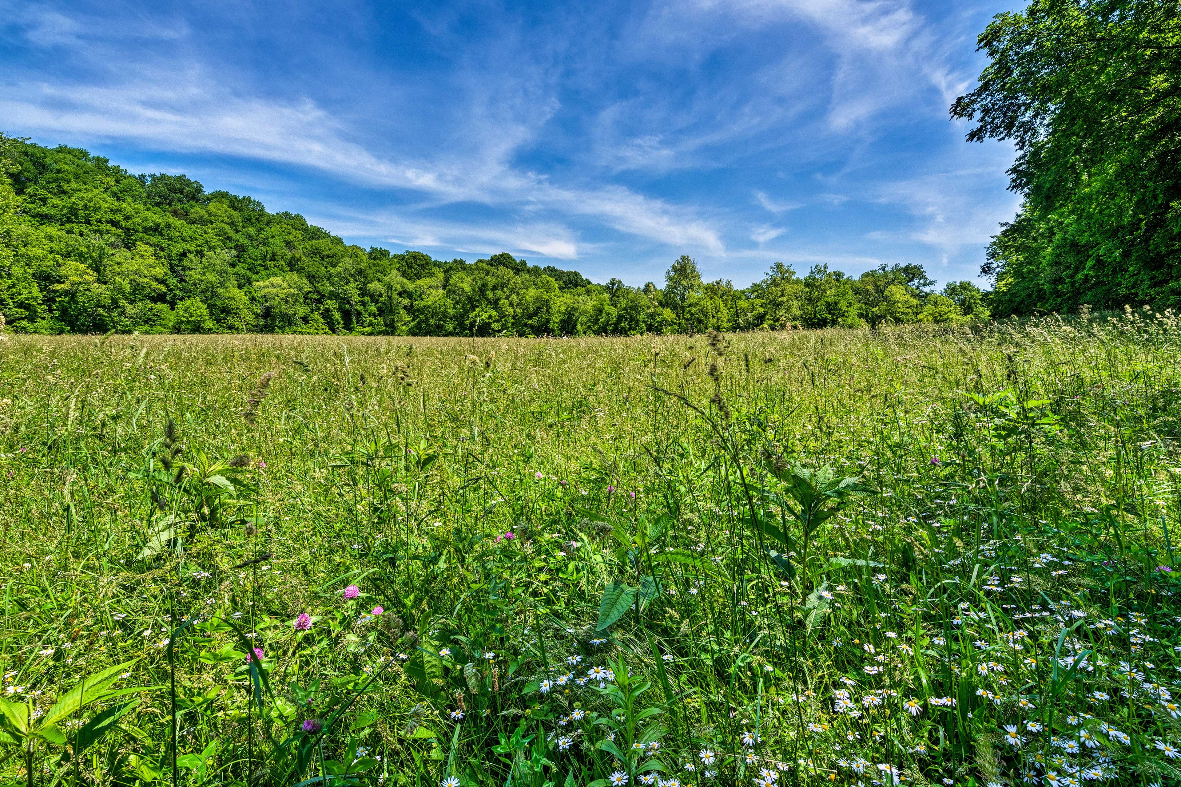 Explore the Kentucky countryside or head up to Mammoth Cave!