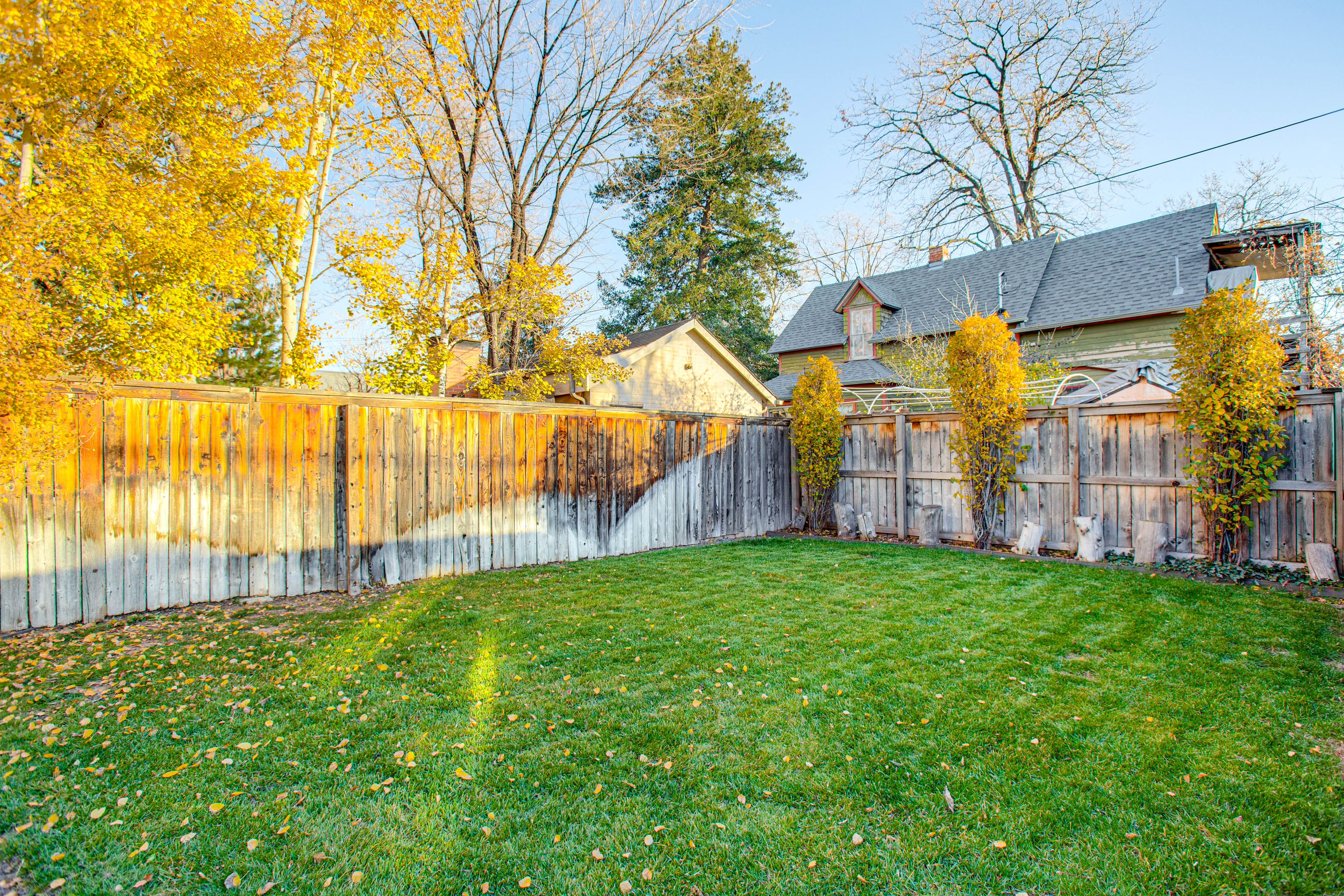 Fenced Backyard