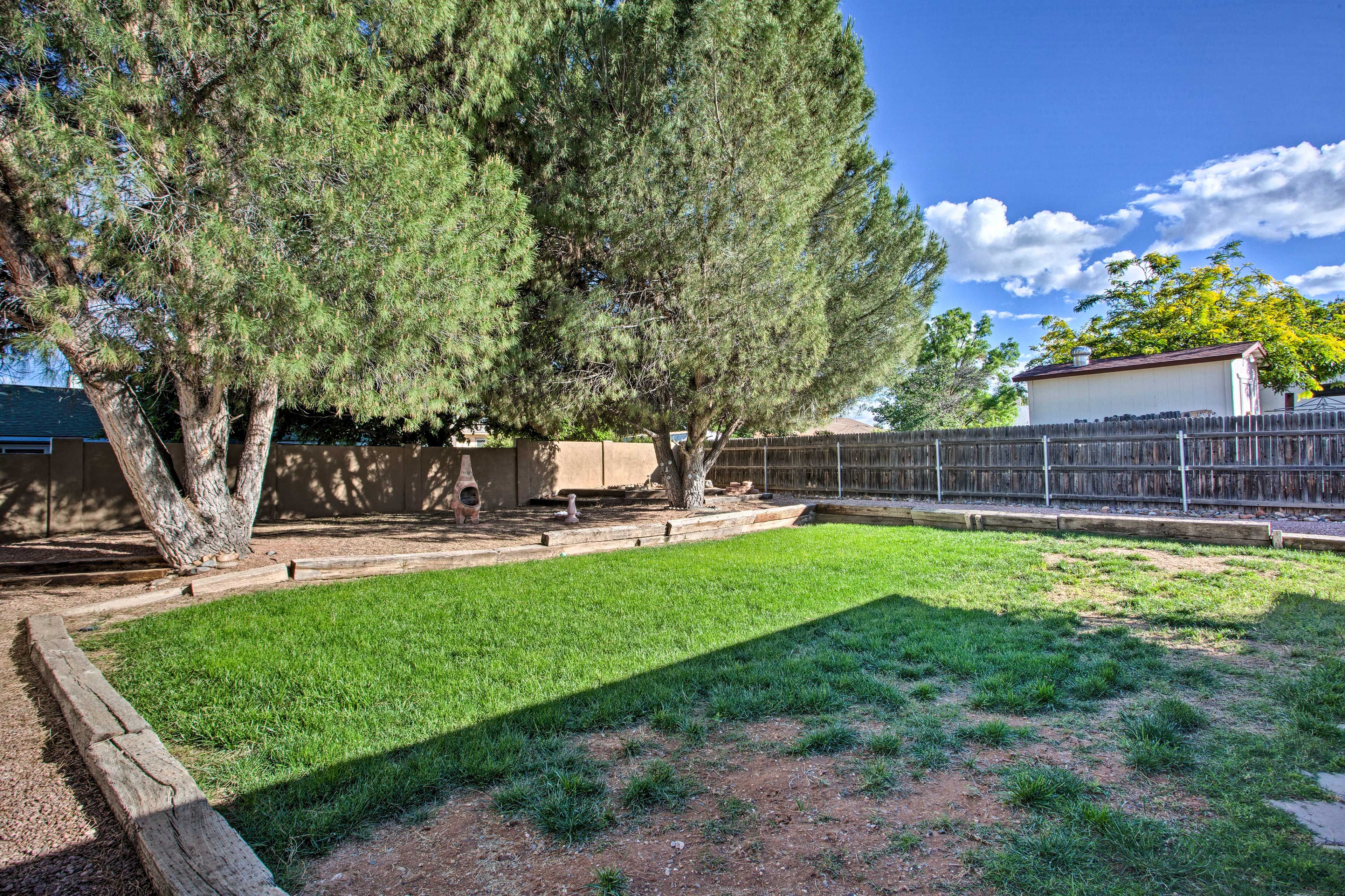 The fenced in yard has plenty of towering pine trees.