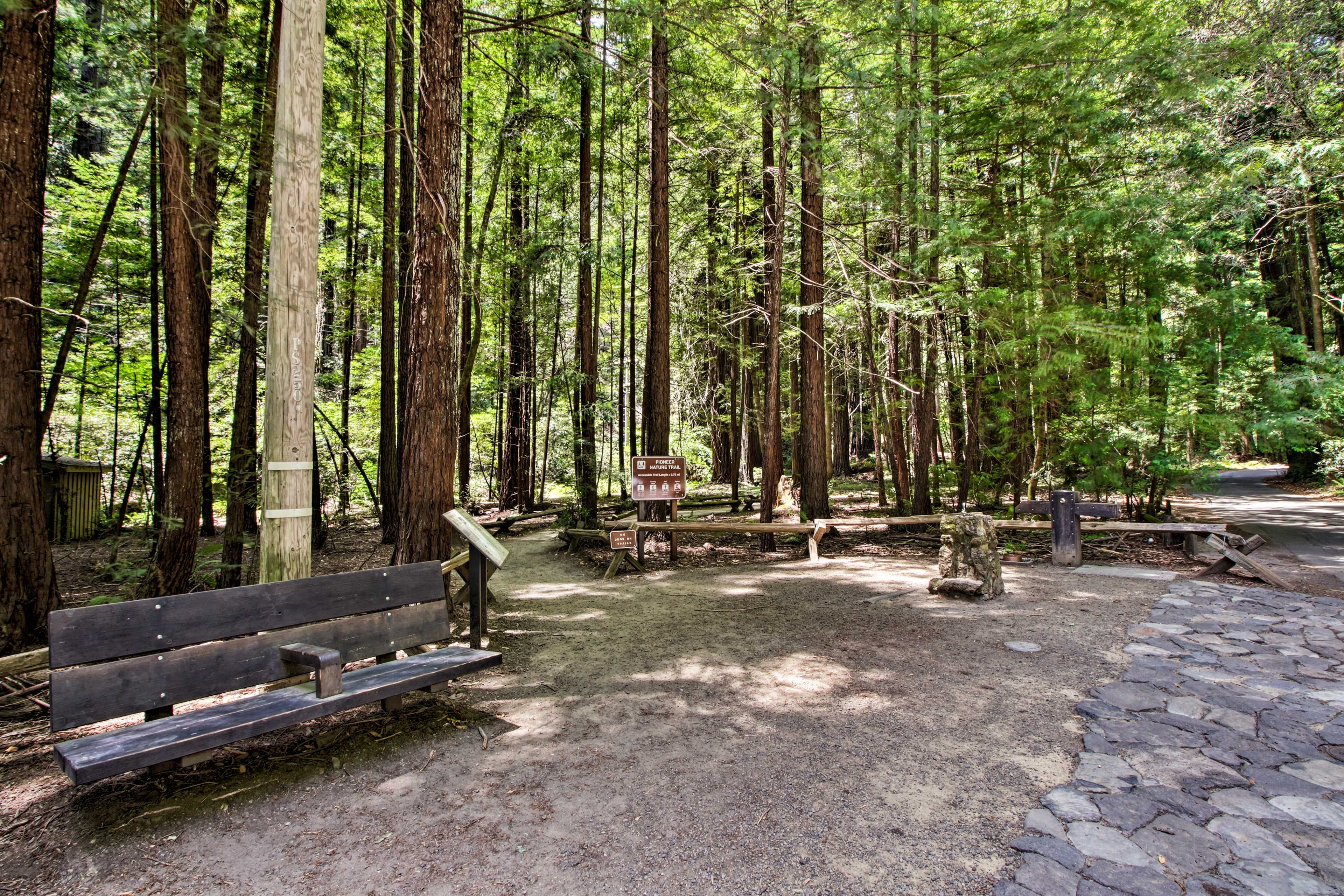 Armstrong Redwoods State Natural Reserve