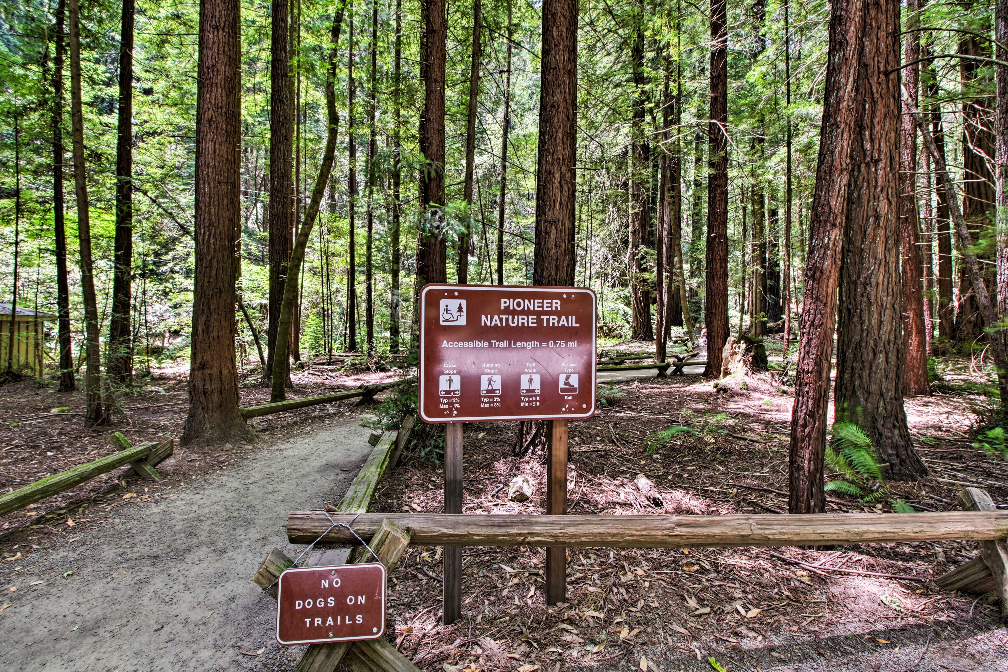 Armstrong Redwoods State Natural Reserve