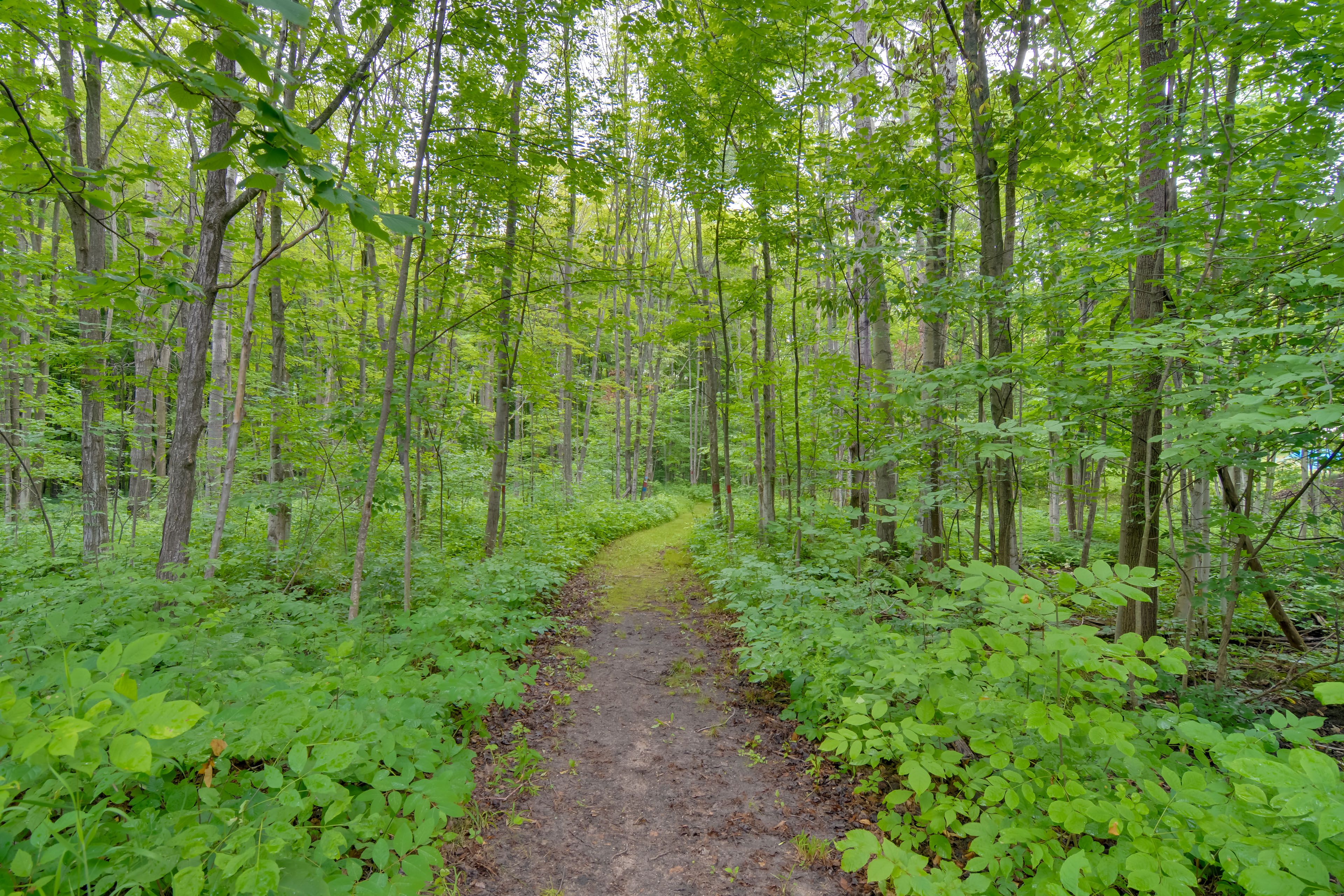 Community Amenities | Hiking Trails (Currently Impassable)