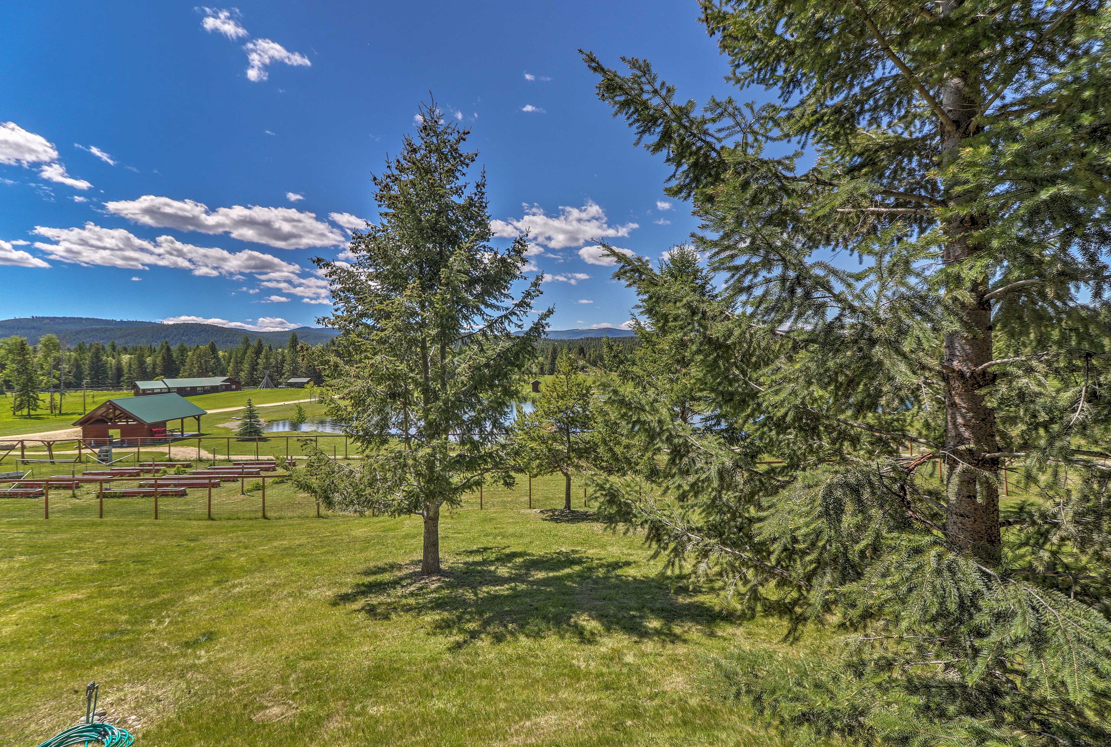 Wander this scenic 40-acre property.